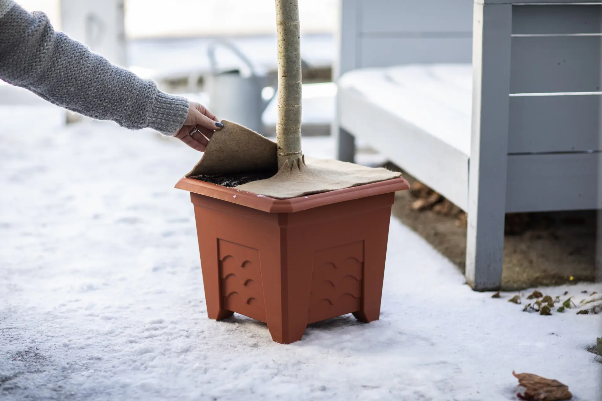 Windhager Mulchscheibe Jute 30 x 30 cm natur