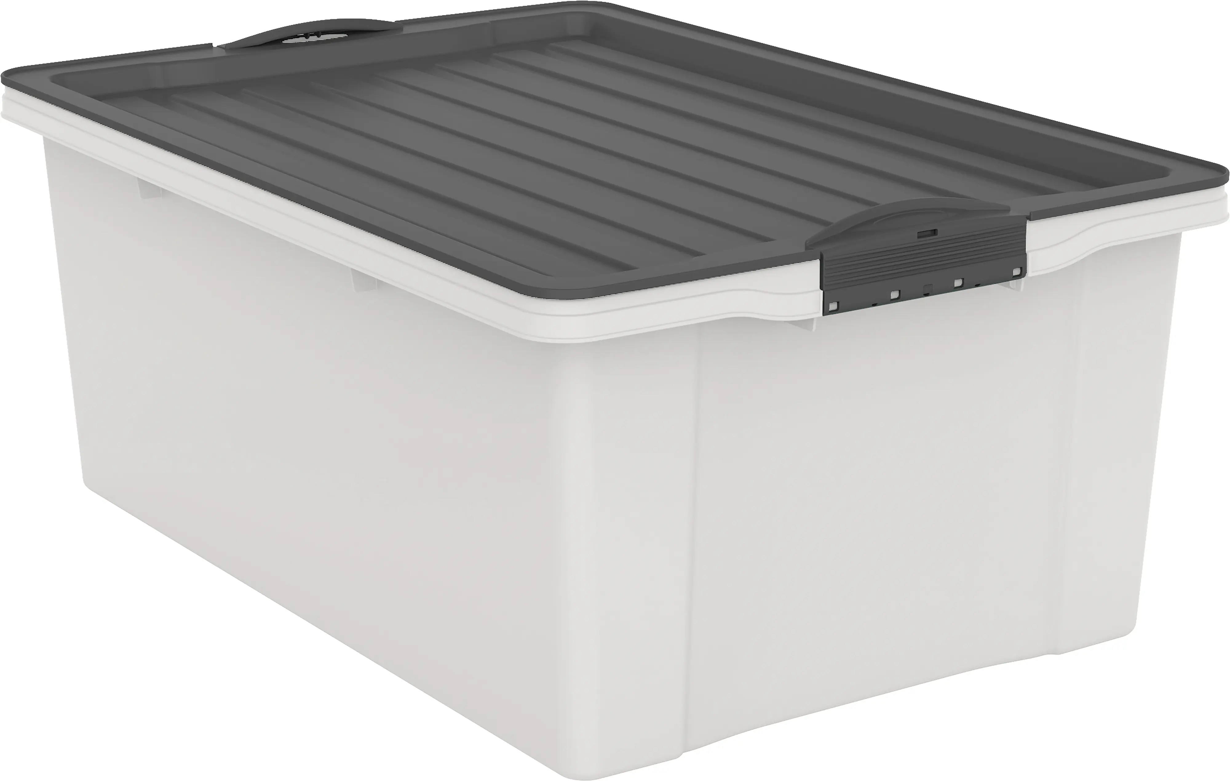 Rotho Aufbewahrungsbox Compact mit Deckel 57 x 40 cm 38 L mistletoe weiß
