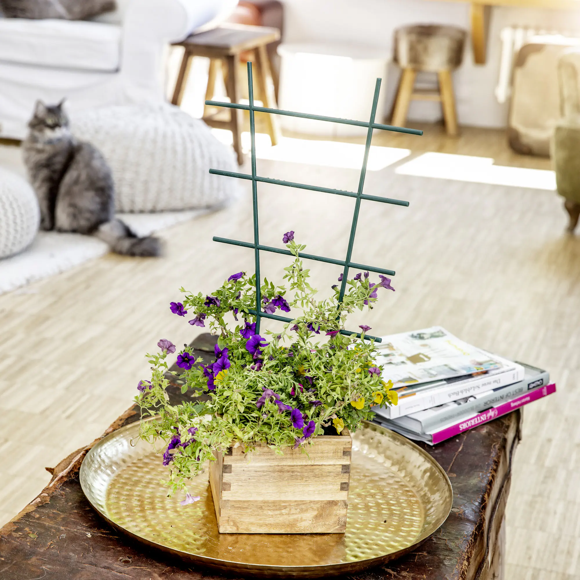 Windhager Blumenstütze 43 x 23 cm