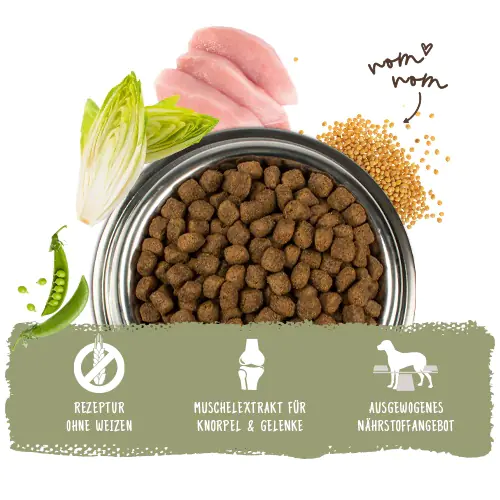Bosch Trockenfutter für Hunde Adult 3 kg mit Geflügel & Hirse Bosch Trockenfutter für Hunde Adult 3 kg mit Geflügel & Hirse
