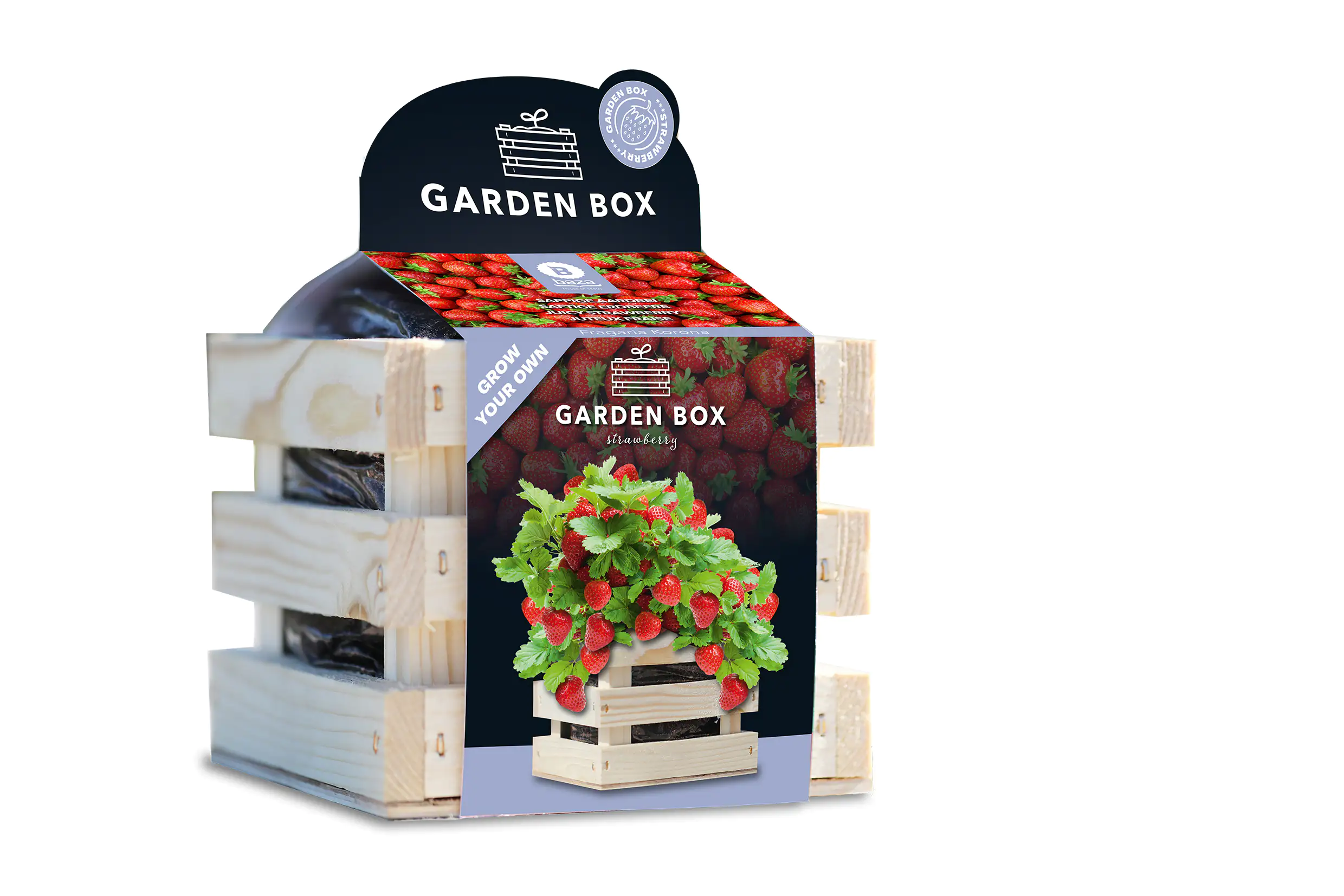 Baza Seeds Garden Box saftige Erdbeere Baza Seeds Garden Box saftige Erdbeere
