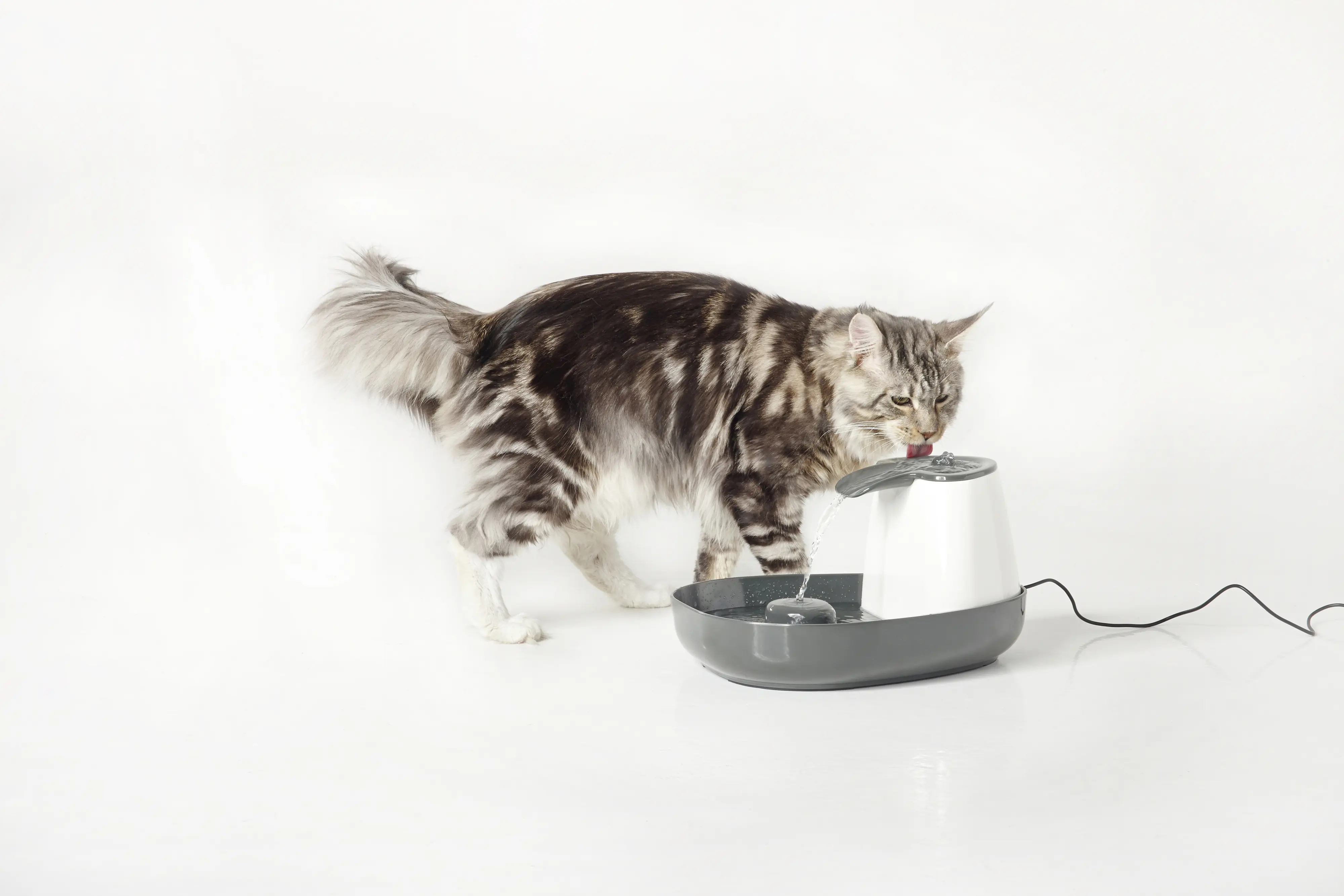 Nobby Trinkbrunnen Katze Cascade 1,5 l