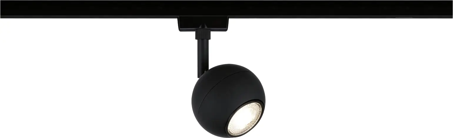 Paulmann URail Einzelspot Tup schwarz matt GU10 