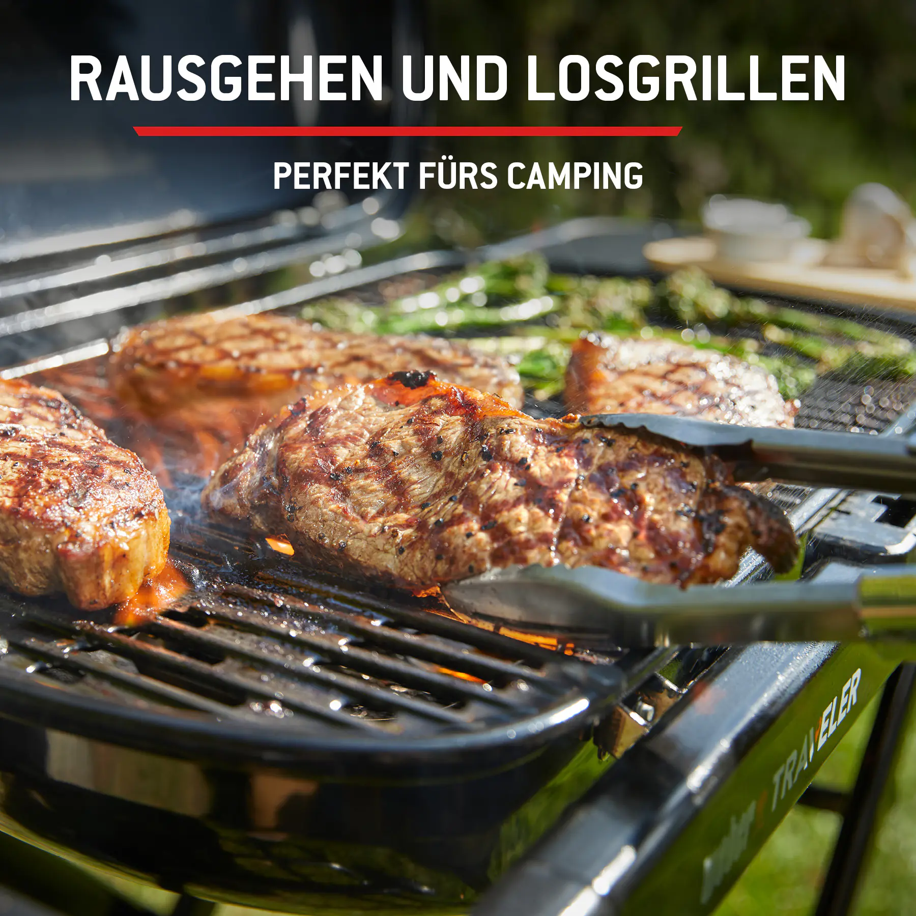 Weber Gasgrill Traveler Grillfläche: 63 x 34 cm