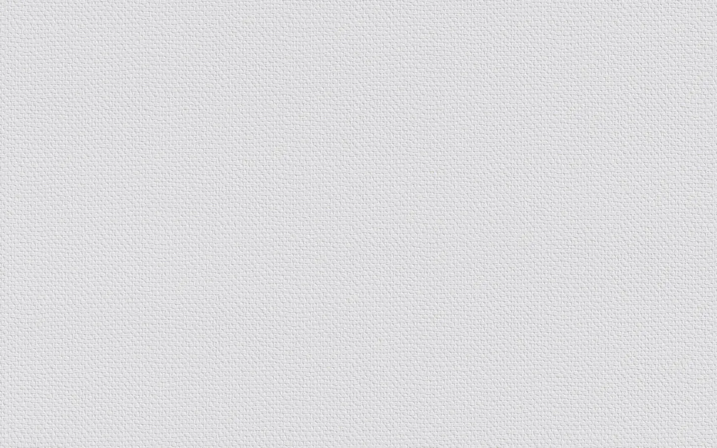 Erfurt Vliestapete Protect 205 weiß 10,05 x 0,53 m