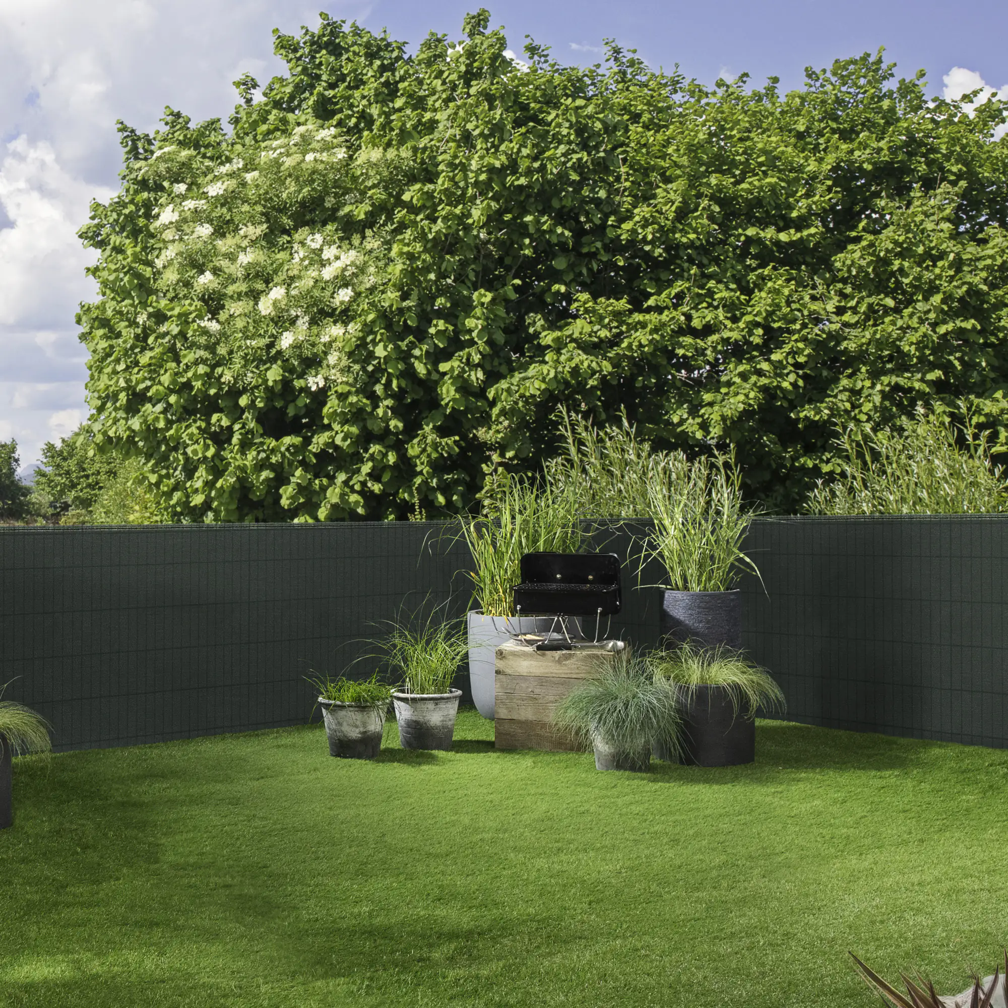 Windhager Zaunblende Screenex Classic 1 x 5 m