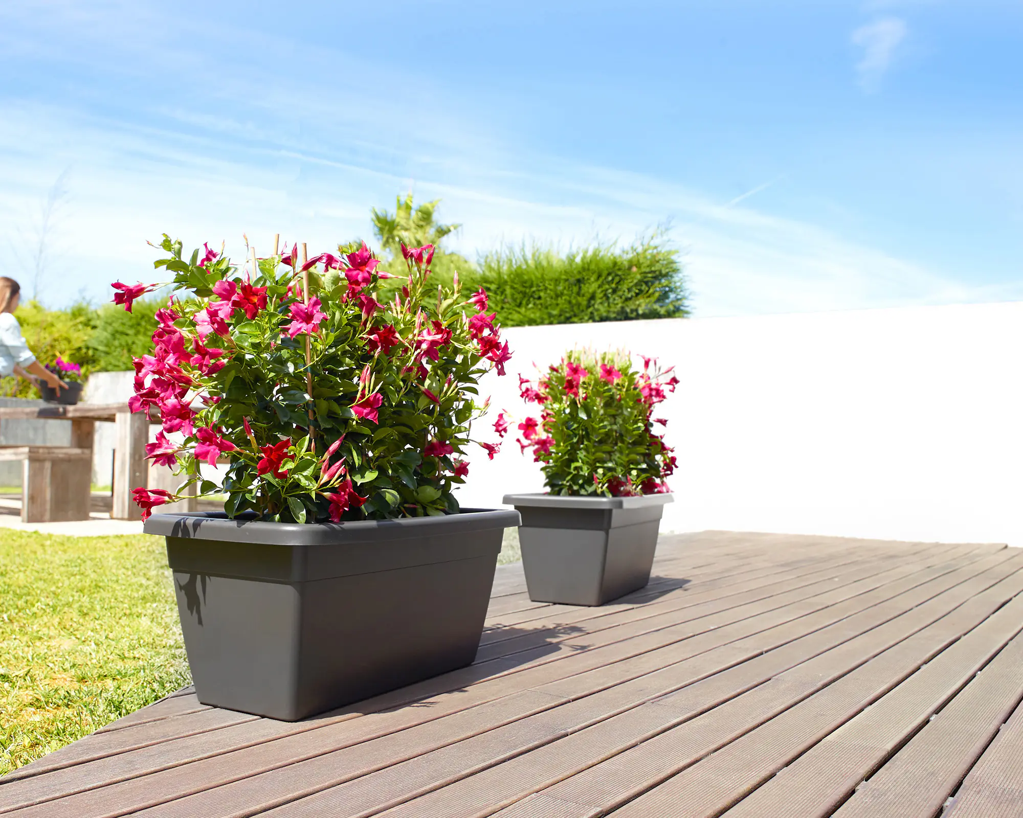 Artevasi Pflanzkasten Venezia Xl Kunststoff anthrazit matt 60 x 30 x 27 cm 