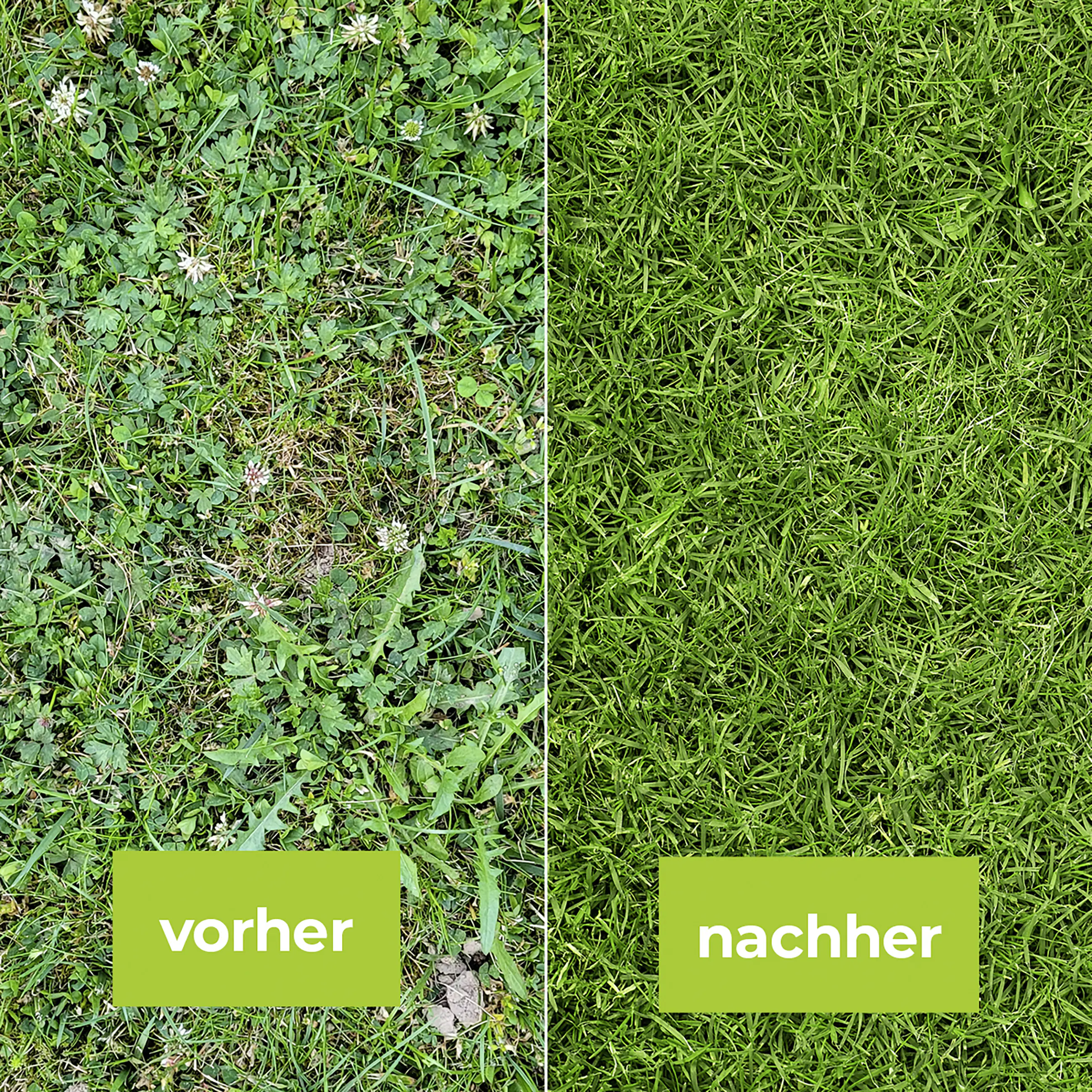 Protect Garden Loredo Quattro Universal Rasenunkrautfrei 400 ml