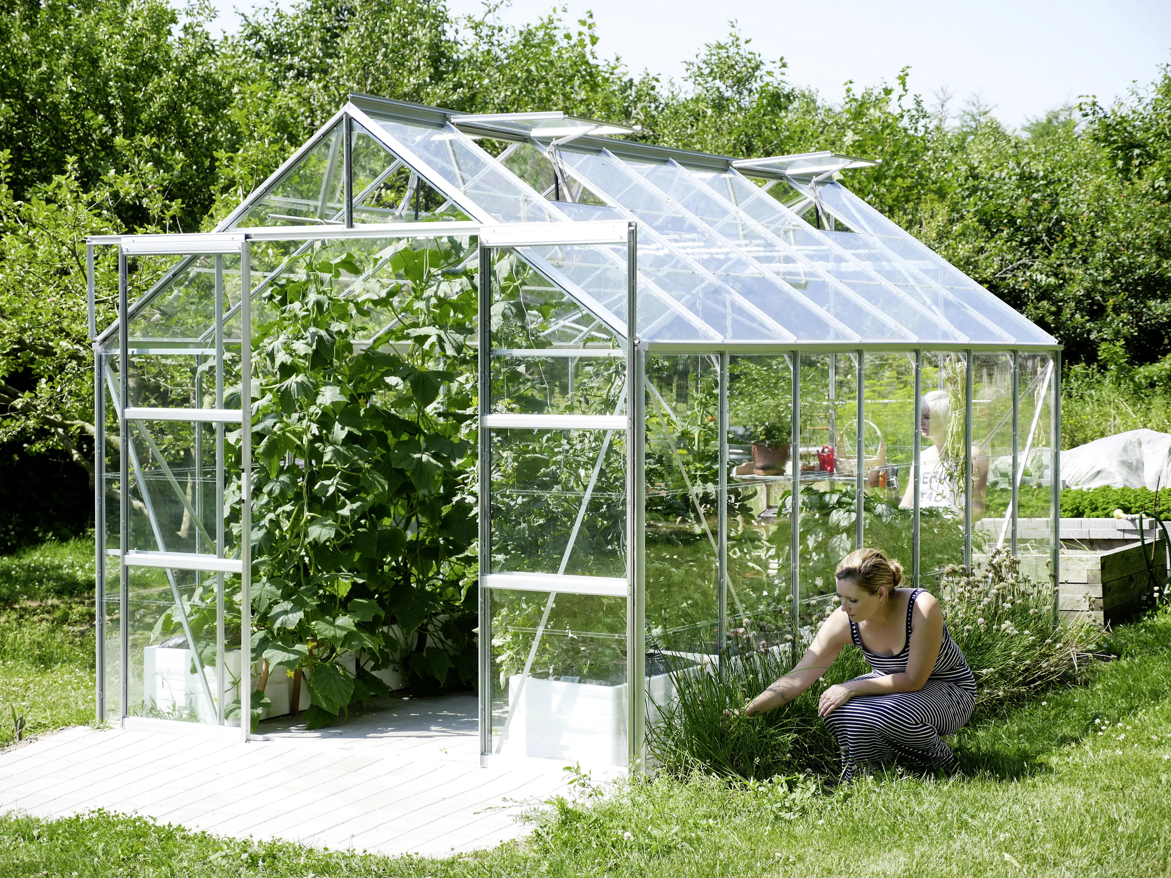 Vitavia Gewächshaus Uranus 11500 254 x 441 cm 3 mm Sicherheitsglas