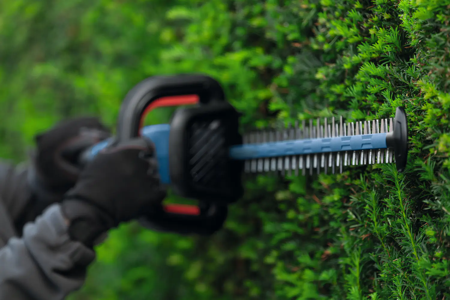 Bosch Professional Akku-Heckenschere GHE 18V-50 (II) Solo