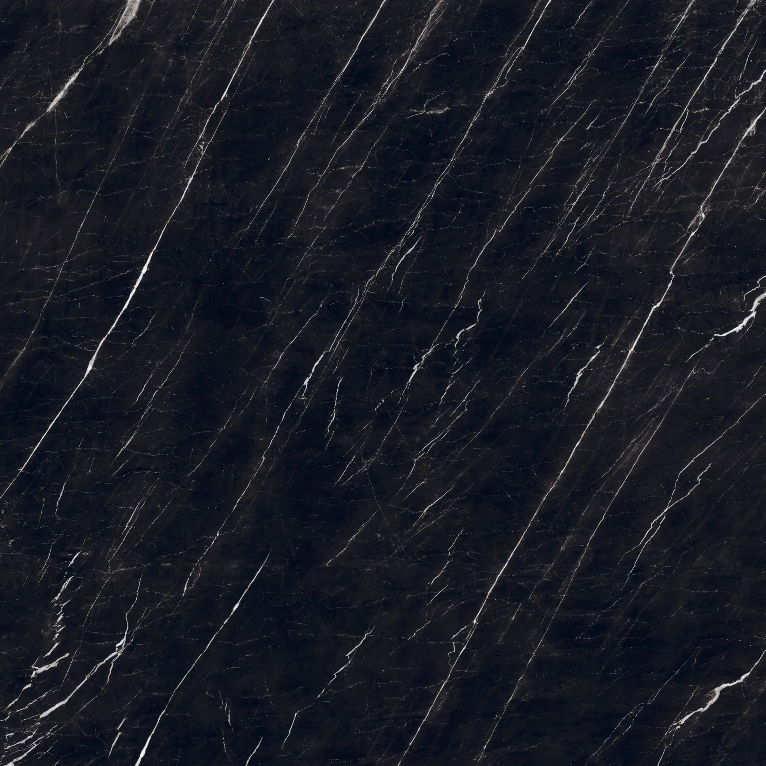 4330542093182 Bodenfliese Feinsteinzeug Nero 120 x 120 cm marquina