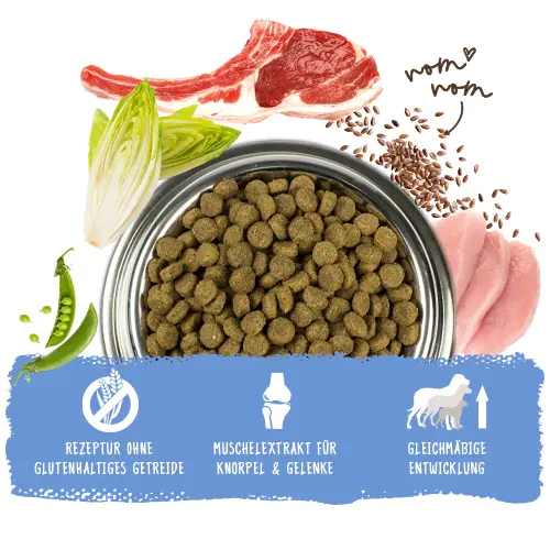 Bosch Trockenfutter für Hunde Junior 15 kg mit Lamm & Reis Bosch Trockenfutter für Hunde Junior 15 kg mit Lamm & Reis