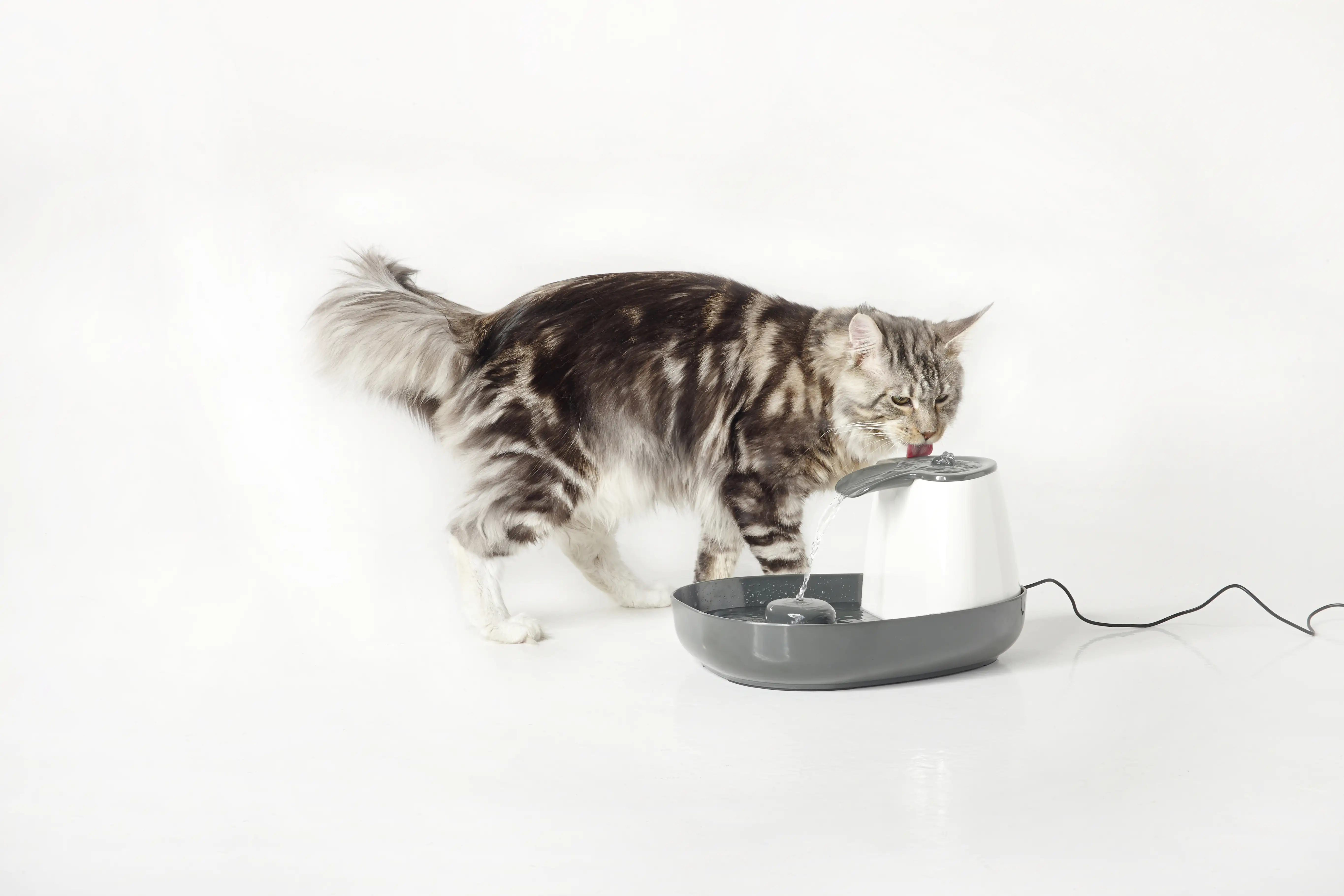 5411388033002_1063721 Nobby Trinkbrunnen Cascade 1,5 l