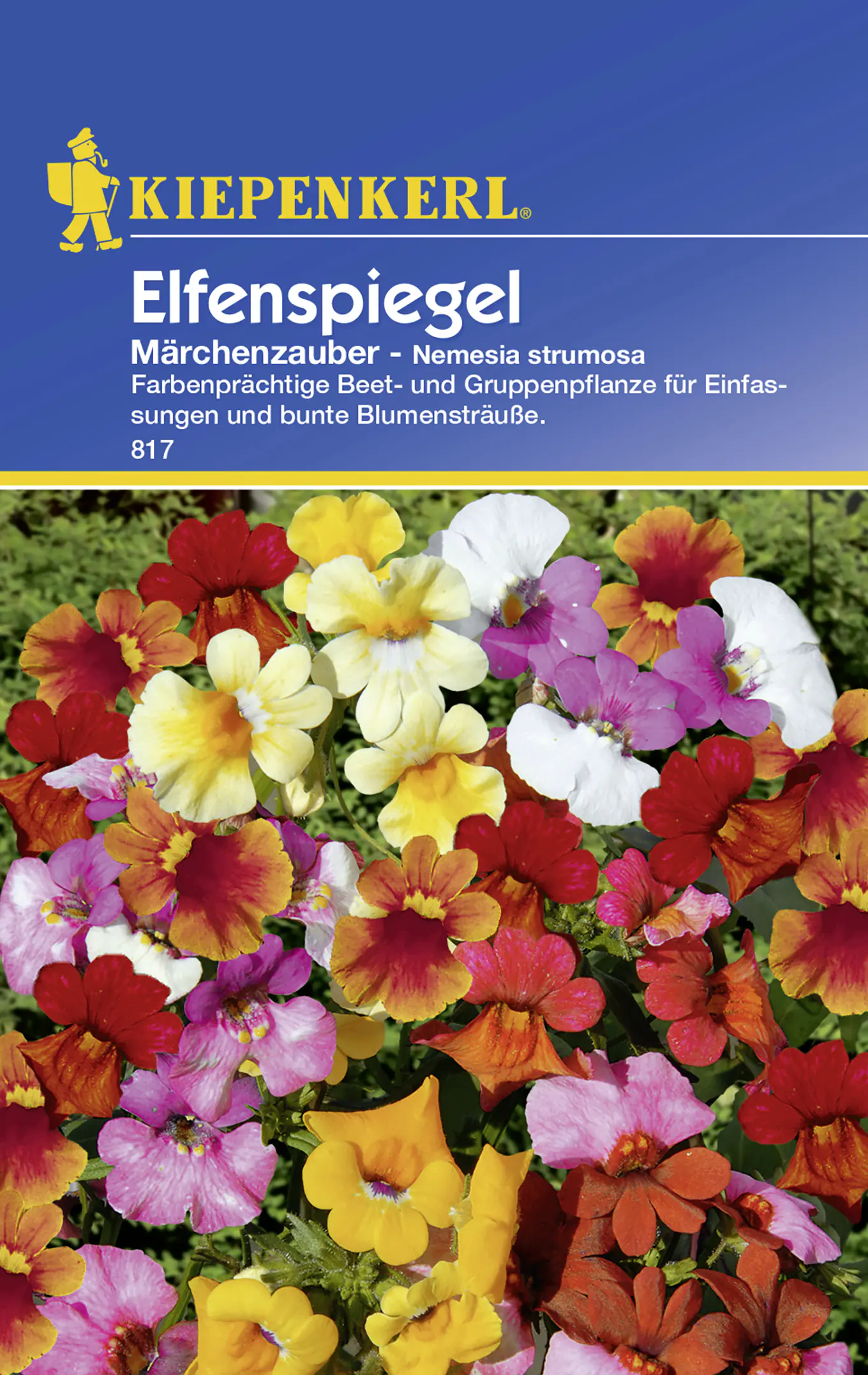 Kiepenkerl Elfenspiegel Märchenzauber Nemesia strumosa, Inhalt: ca. 75 Pflanzen
