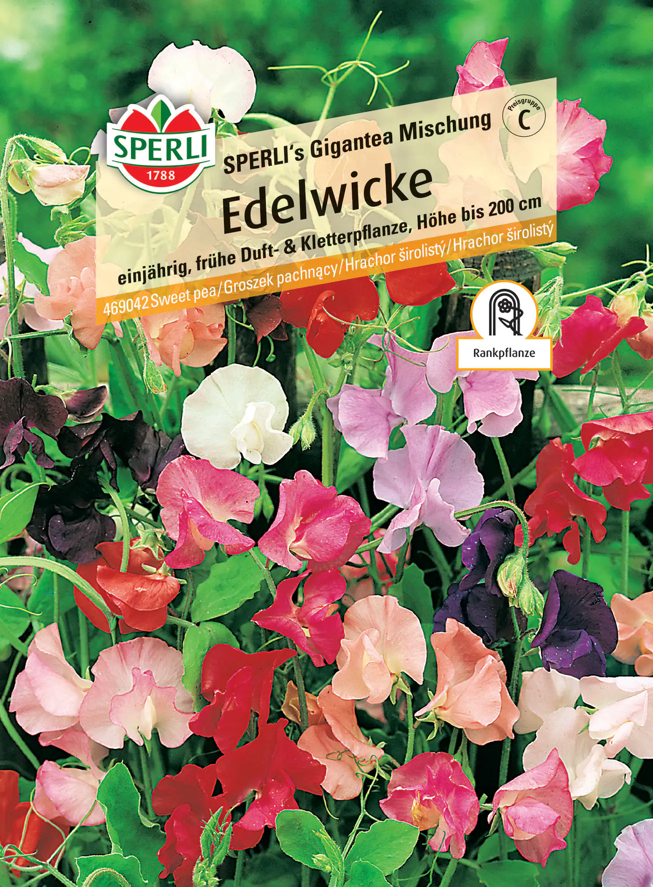 Sperli Edelwicke Sperli's Gigantea Mischung