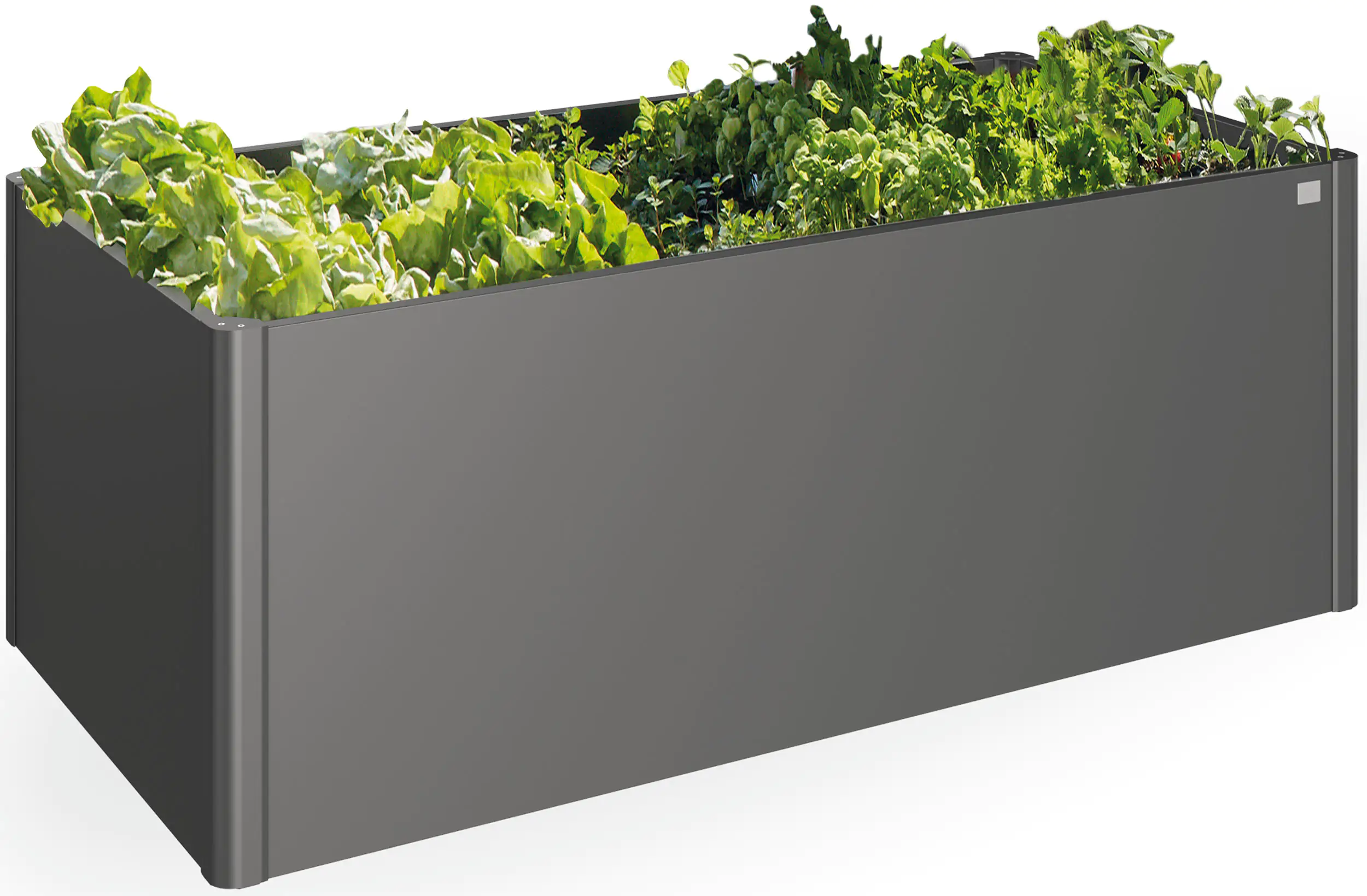9003414650152_01 Biohort Hochbeet 2x1 201 x 102 x 77 cm dunkelgrau