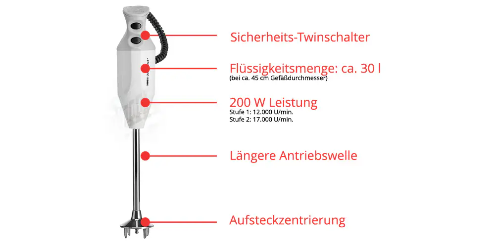 Esge Zauberstab P 200 Profi inkl. Multimesser, Schlagscheibe, Quirlscheibe