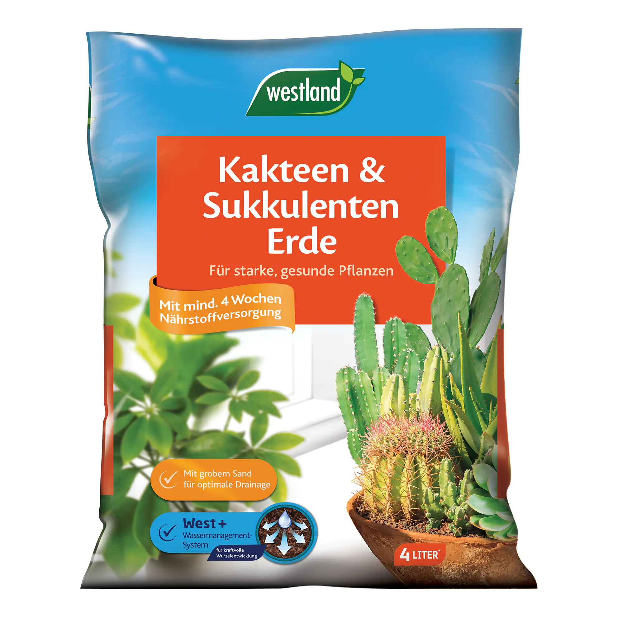 Westland Kakteen & Sukkulentenerde 4 l Westland Kakteen & Sukkulentenerde 4 l