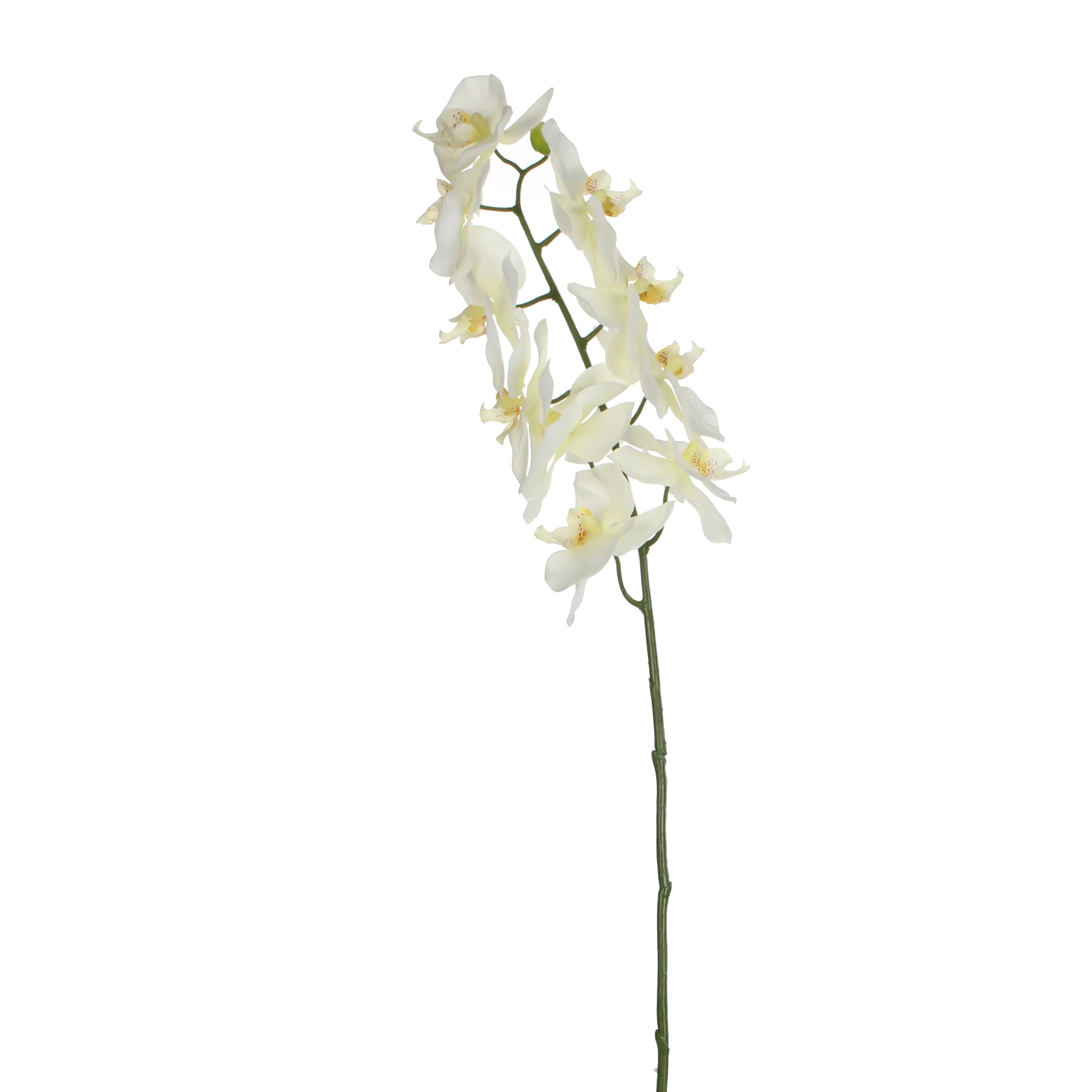 8717669818557 Mica künstliche Phalaenopsis weiß 71 cm