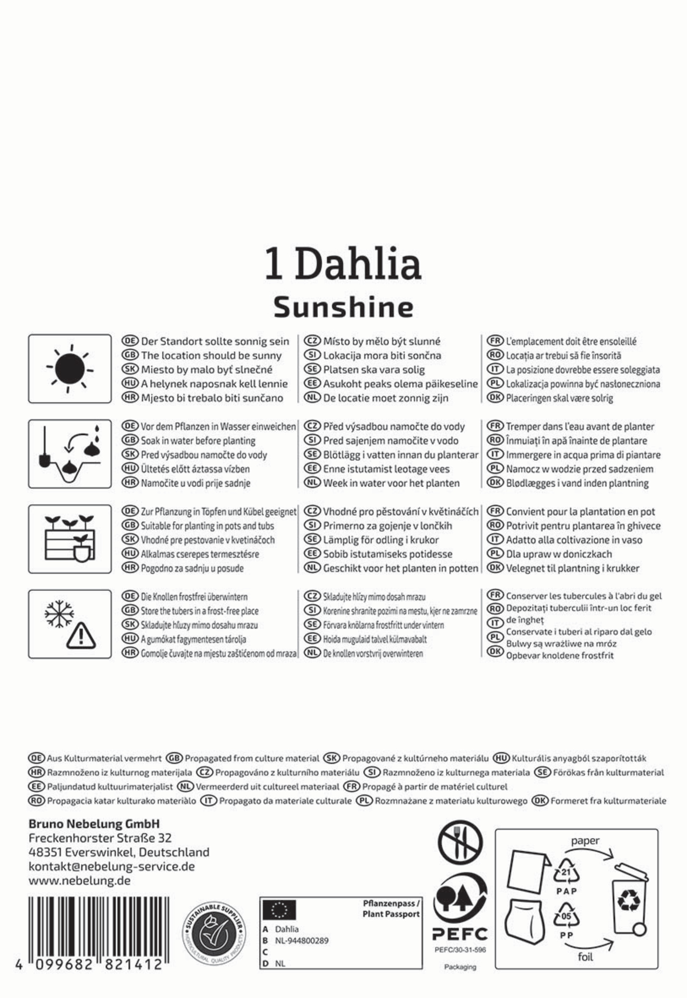 Kiepenkerl Frühjahrsblumenzwiebel Dunkellaubige Beet-Dahlie Sunshine 1 Stück