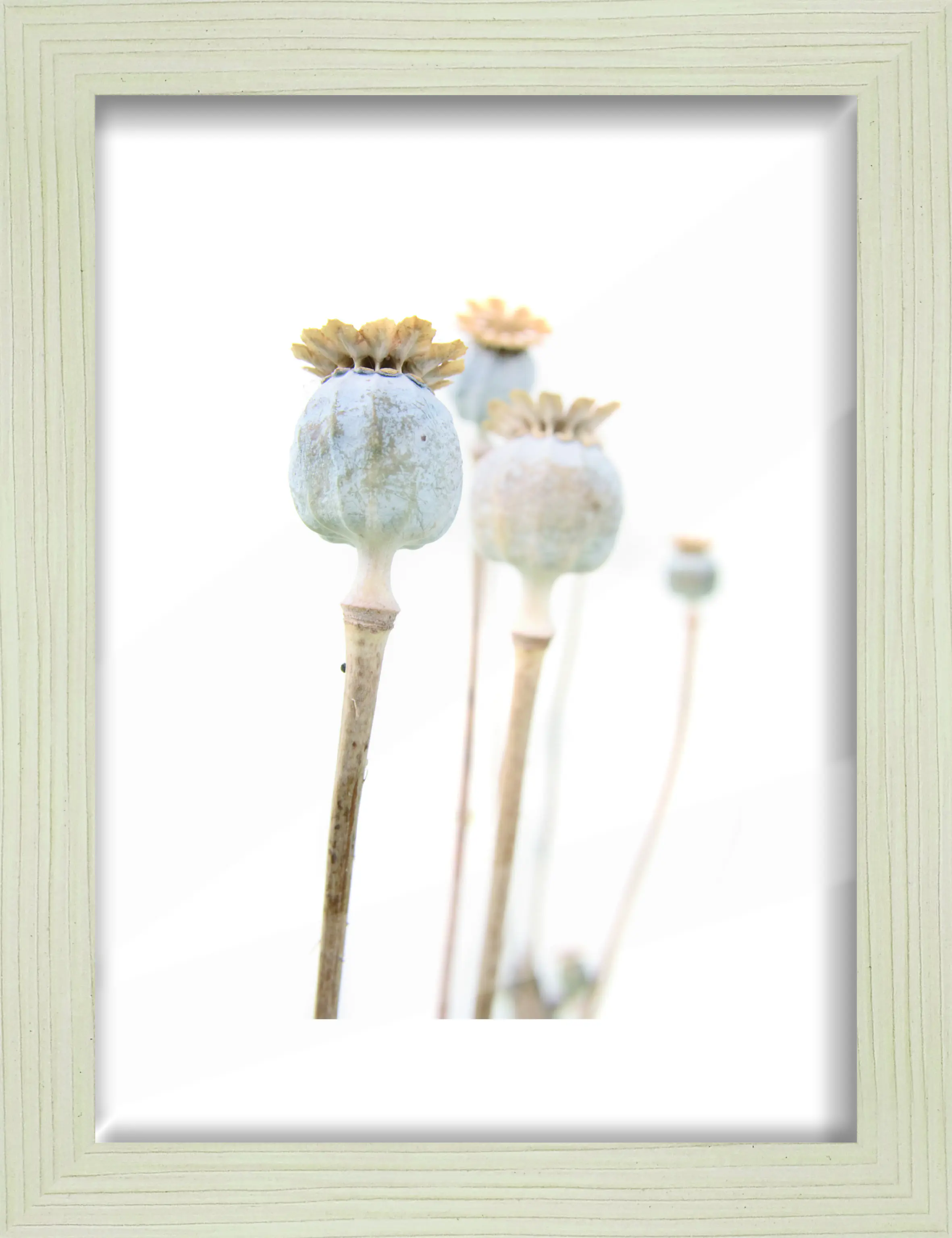 Bilderrahmen Holz Arosa eiche weiß 18 x 24 cm