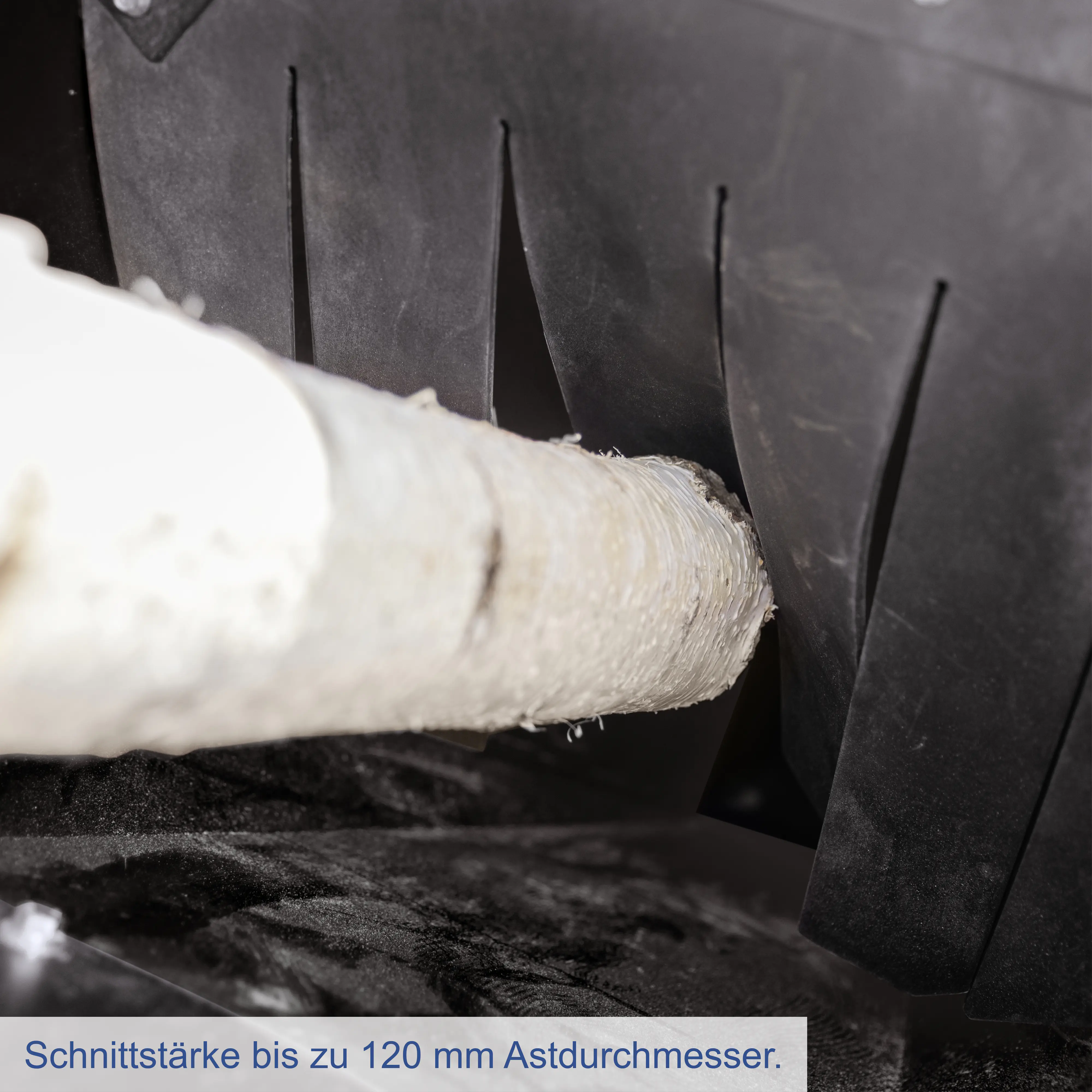 Scheppach Benzin-Messerhäcksler PGS420E