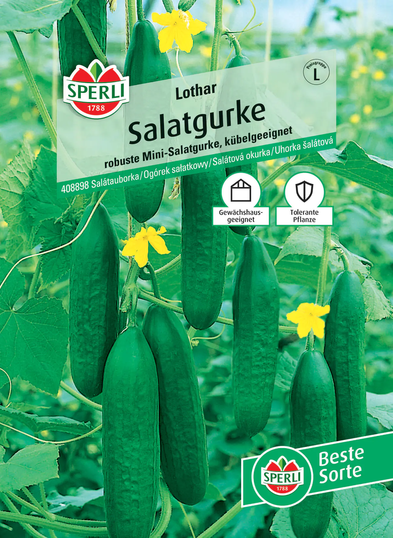 Sperli Salatgurke Lothar F1