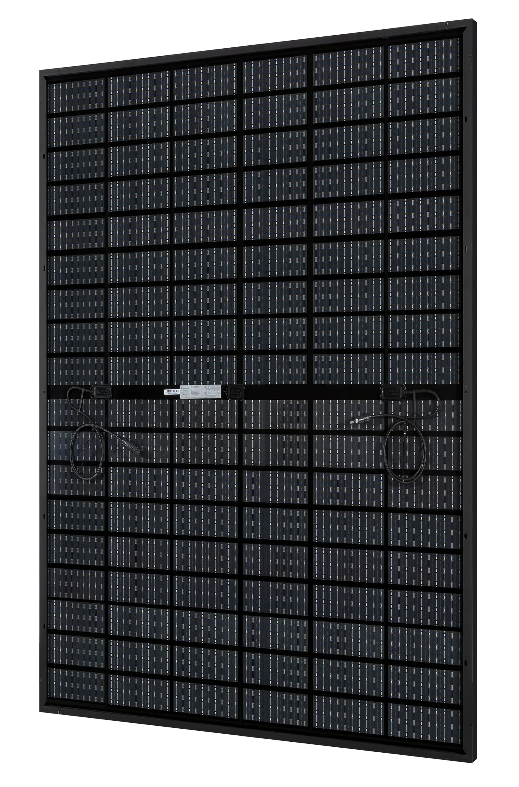 Vale Solarmodule 2 x 450 Watt bifazial Glas-Glas Full black