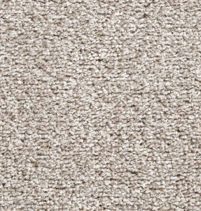 Teppichboden Vilma dunkelbeige 5 m breit (Meterware)