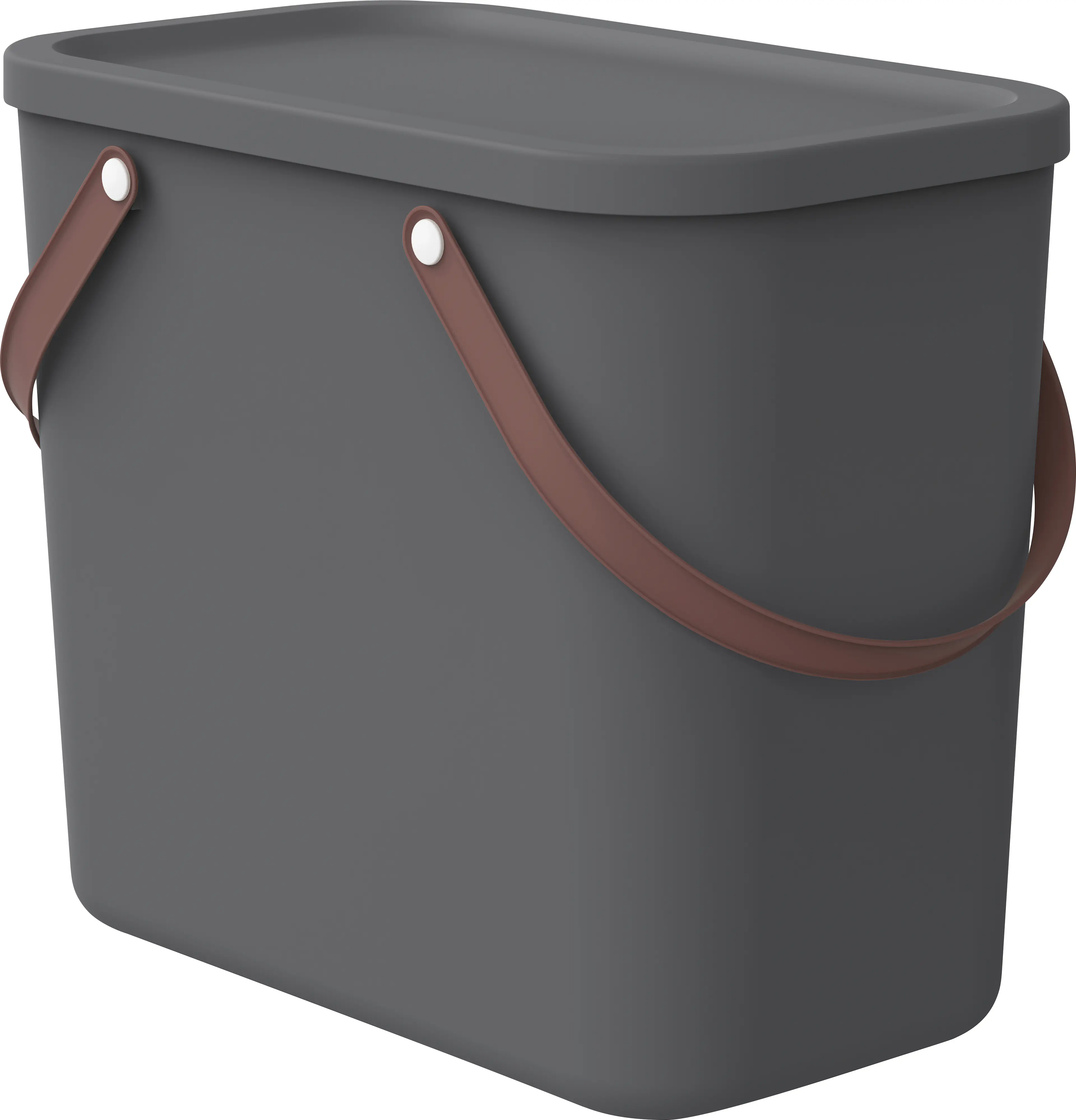 Rotho Aufbewahrungsbox Albula mit Deckel 40 x 23,5 cm 25 L Charcoal schwarz