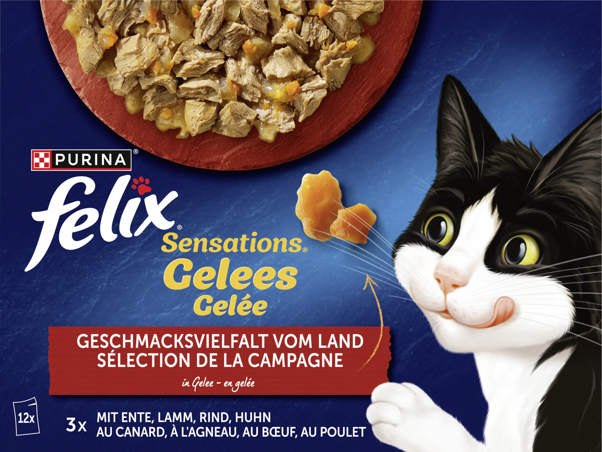 Felix Sensations Gelee Geschmacksvielfalt vom Land Katzenfutter 12 x 85g