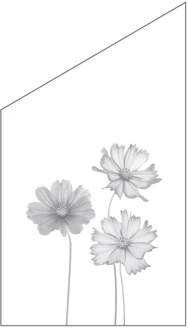 Ambiente Glaszaun Dekor 93 schräg 103 x 120/180 cm gehärtetes 8 mm Glas