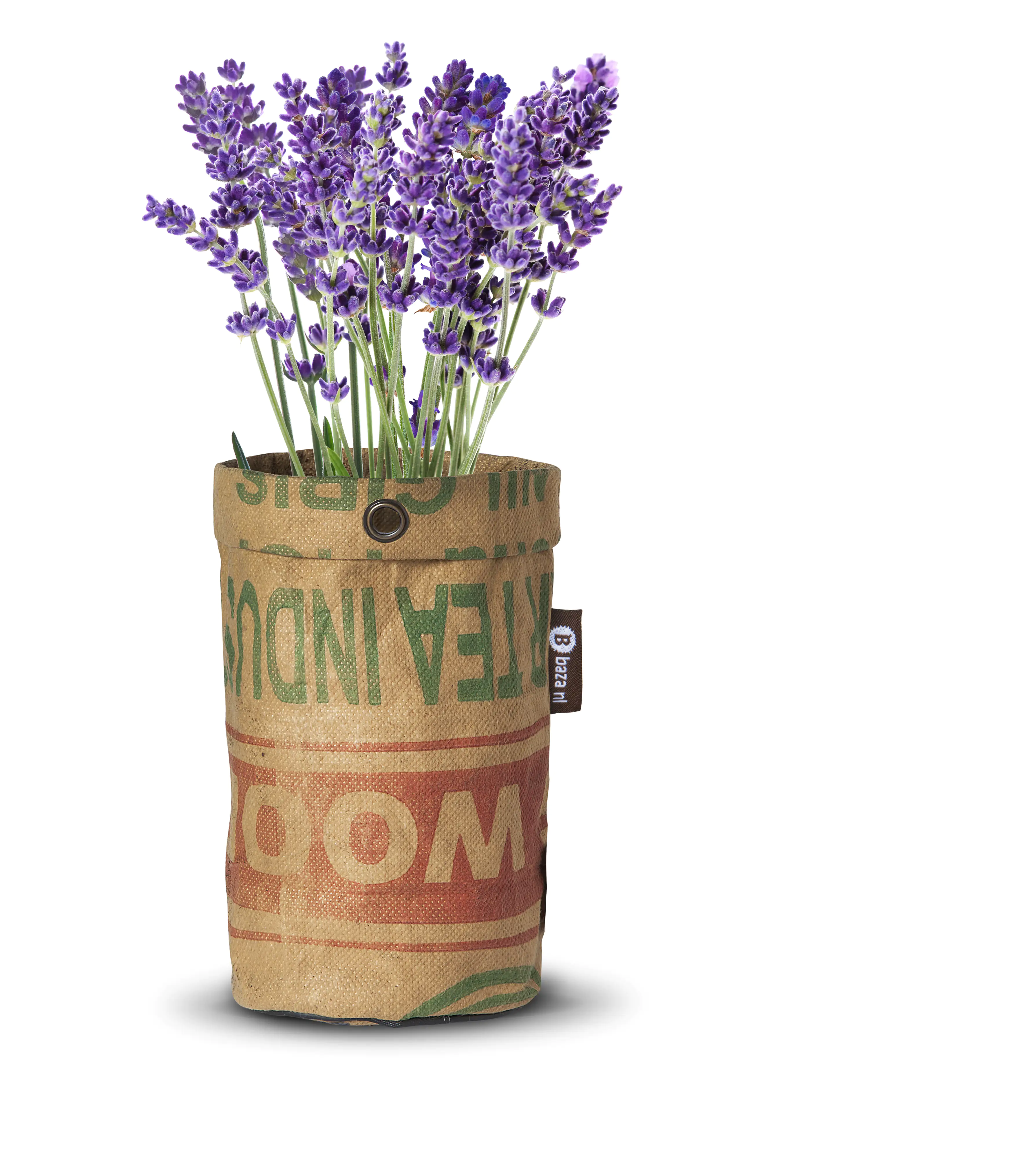 Baza Seeds Teegarten Bio Lavendel Baza Seeds Teegarten Bio Lavendel