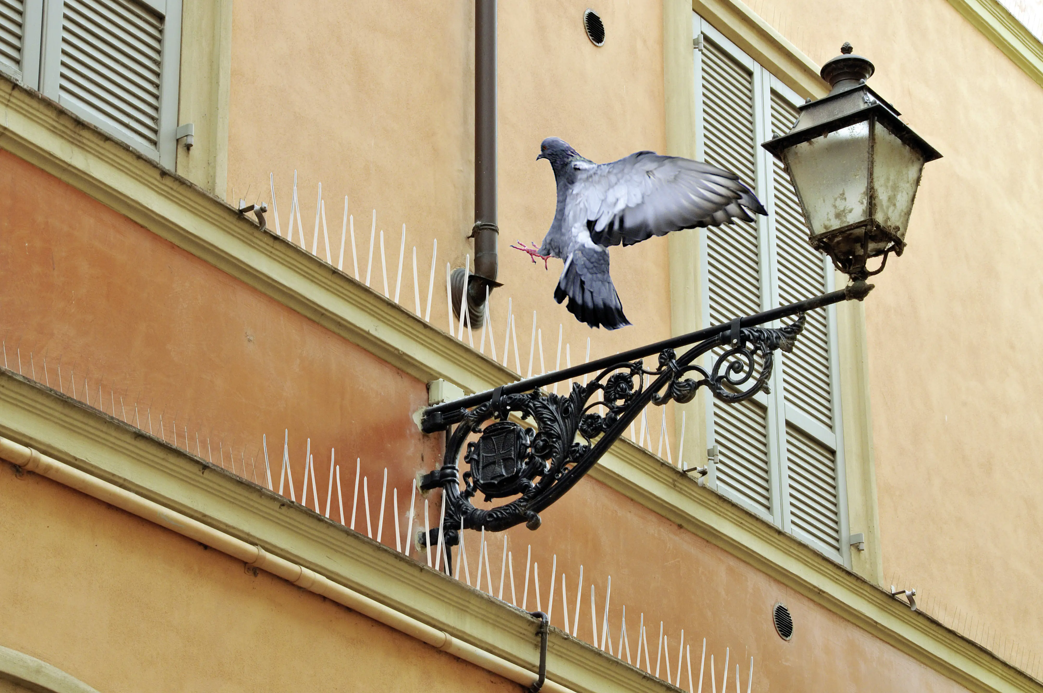 Swissinno Taubenabwehr-Spikes aus Polycarbonat 100 cm