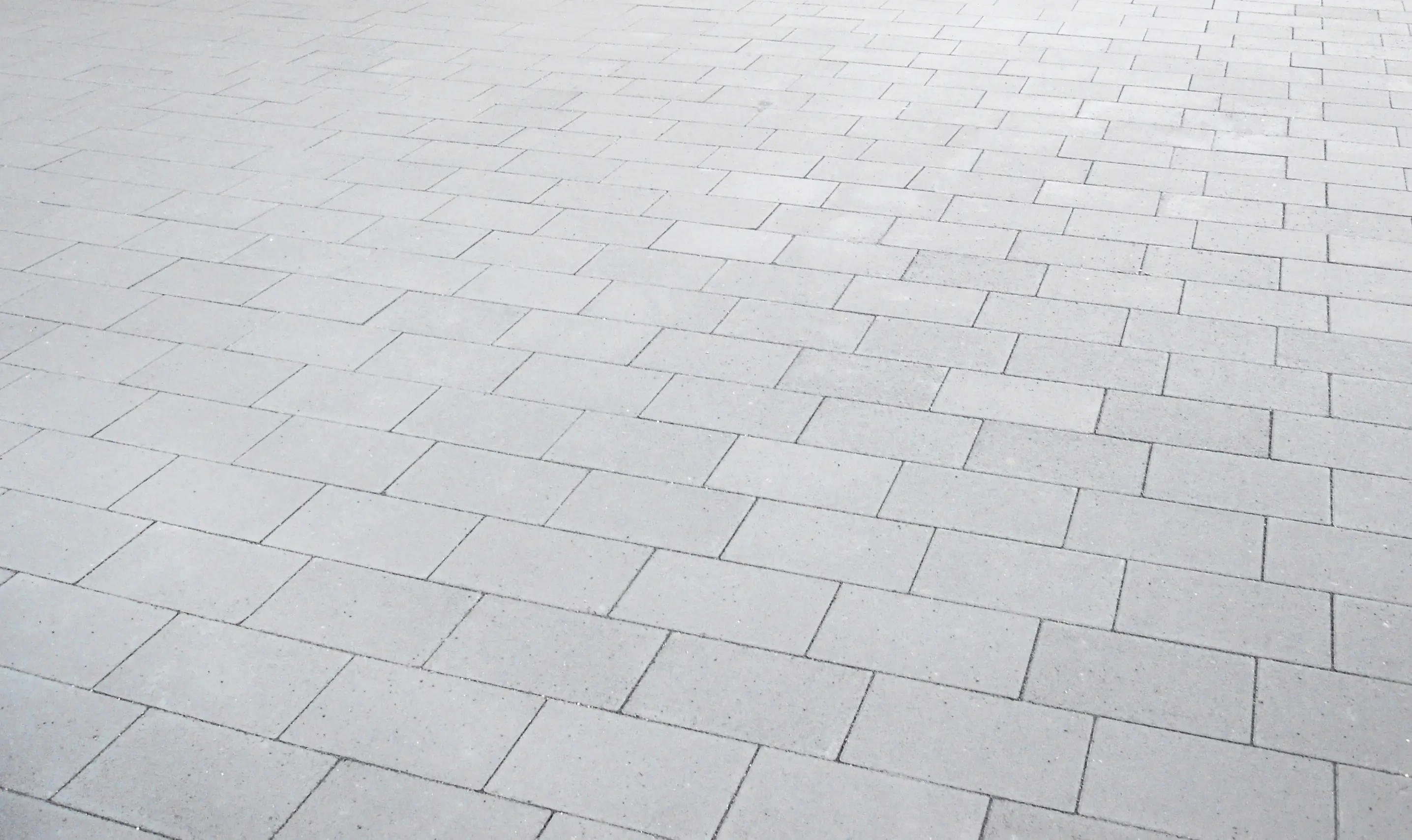 EHL Pflasterstein Veria 30 x 20 x 6 cm grau