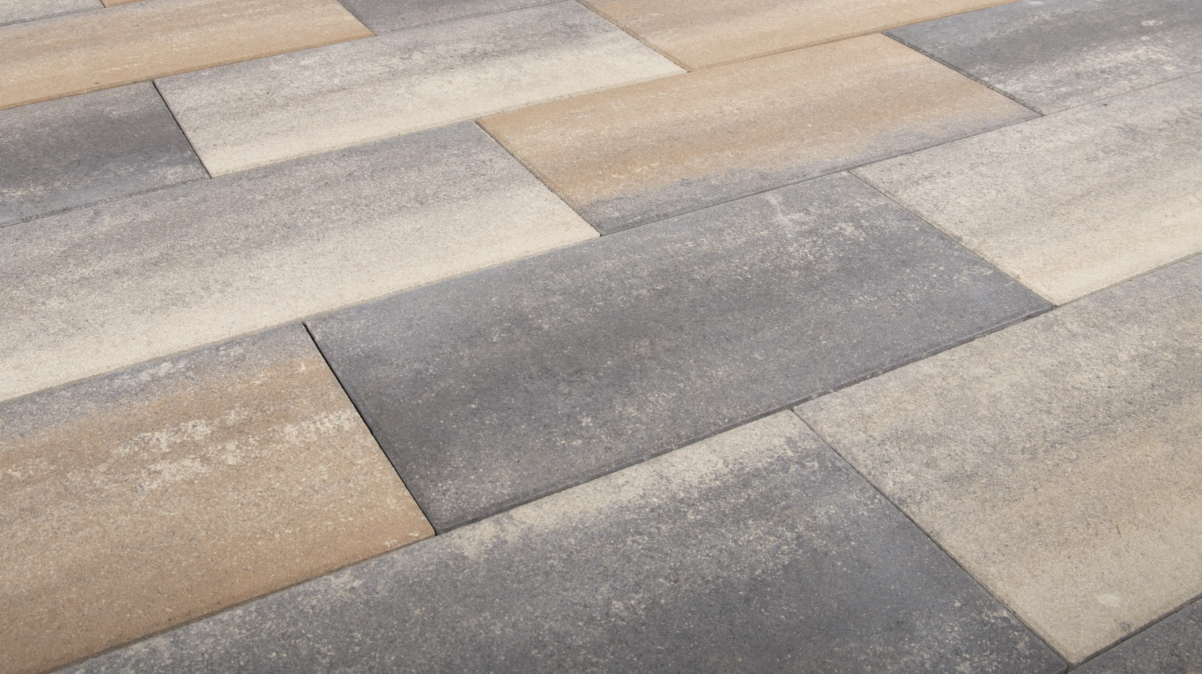 EHL Terrassenplatte Bellaria 80 x 40 x 5 cm muschelcreme