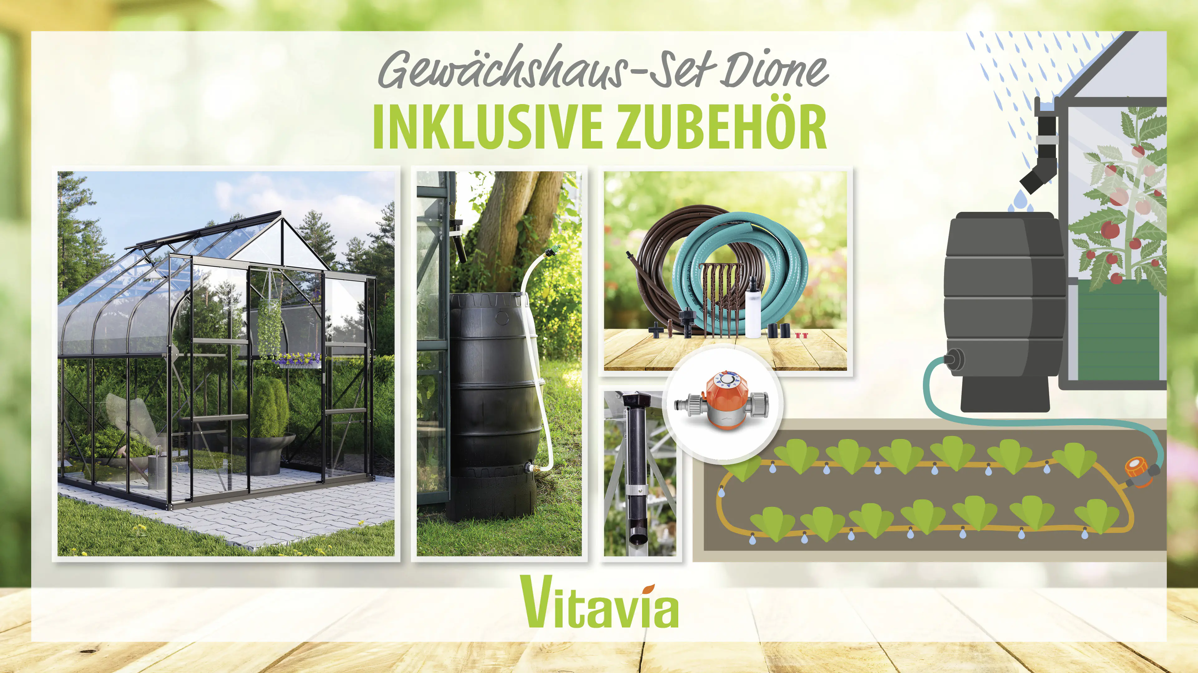 Vitavia Gewächshaus-Set Dione 6700 ESG 3 mm schwarz 254 x 254 cm 