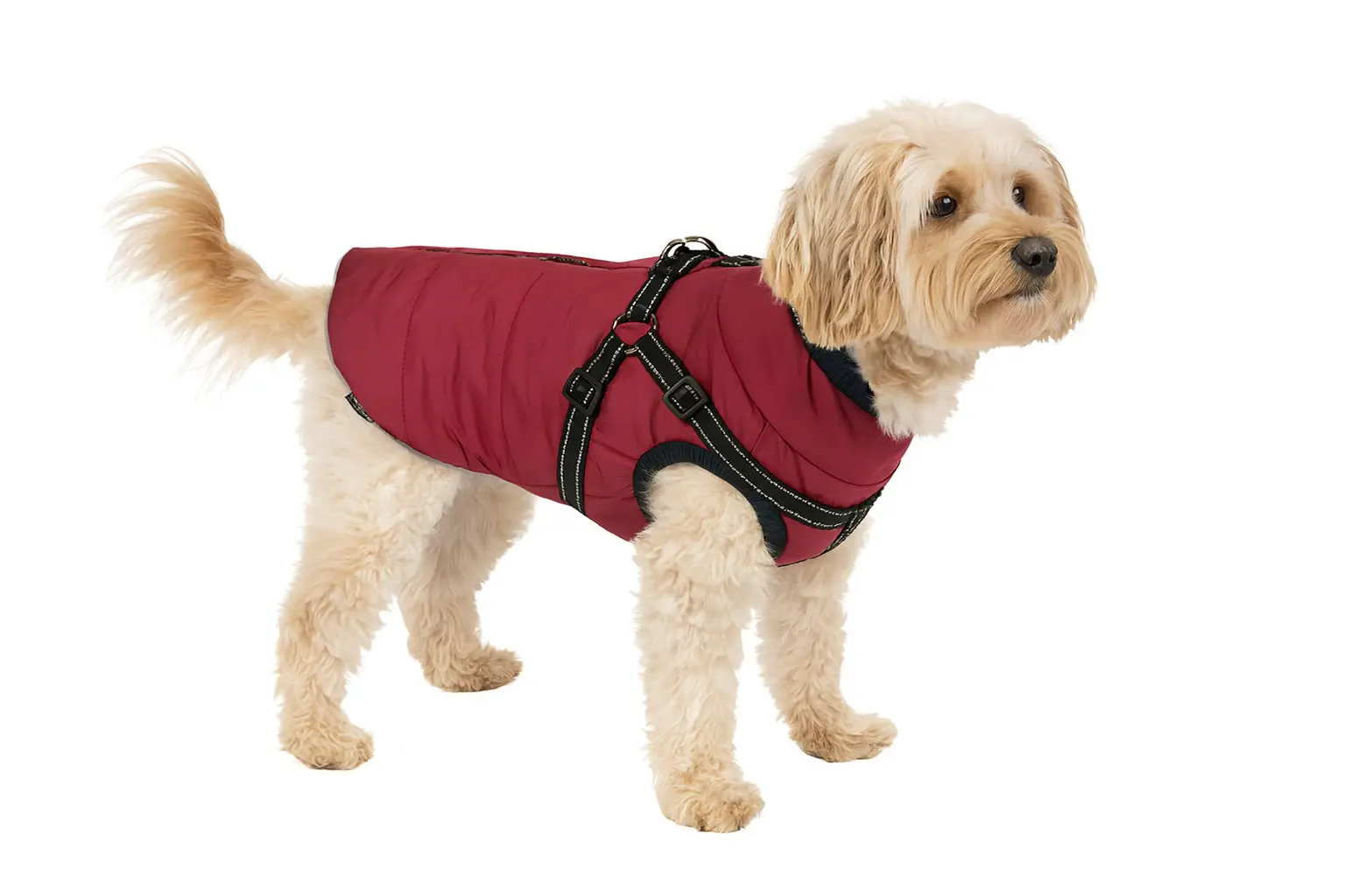 Nobby Hundemantel Salus 2 in 1 bordeaux Nobby Hundemantel Salus 2 in 1 bordeaux