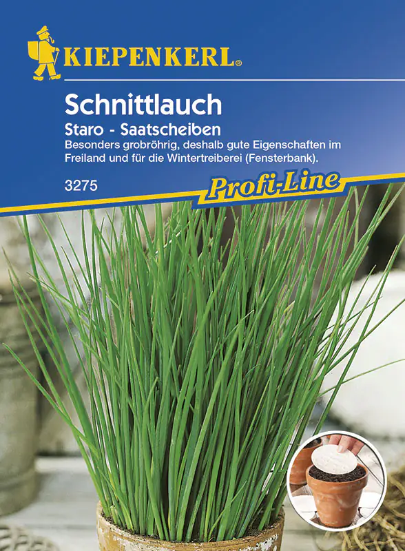 4000159182752 Kiepenkerl Schnittlauch Staro Allium schoenoprasum var. schoenoprasum, Inhalt: 5 Saatscheiben