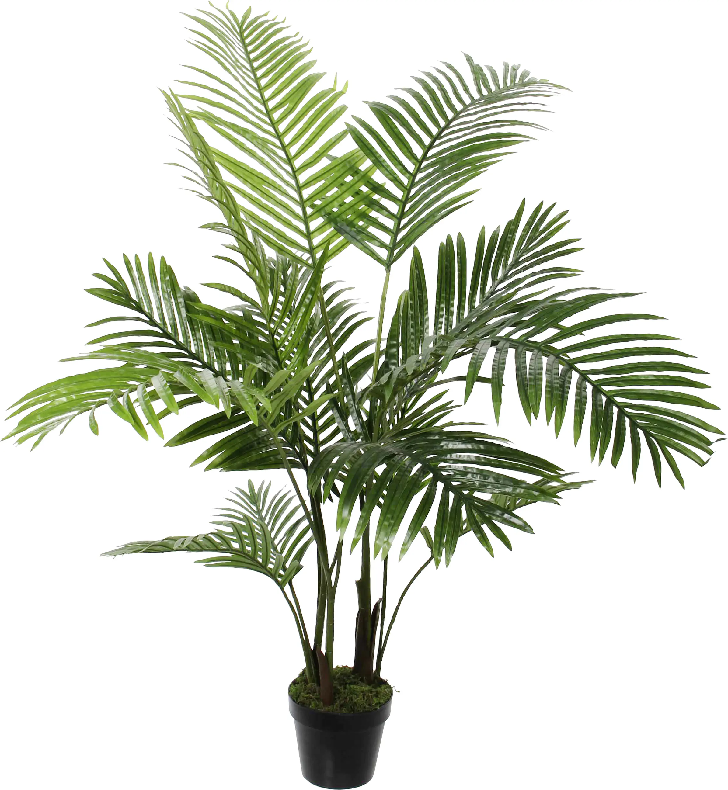 Mica Decorations Areca Palme im Topf Ø 60 x 120 cm grün