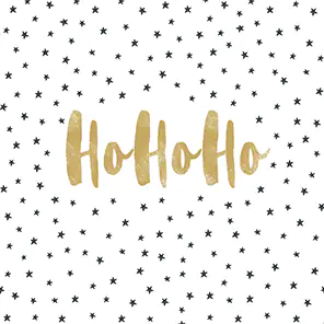 Braun & Company Servietten Atelier Hoho Christmas 33 x 33 cm - 20er Pack