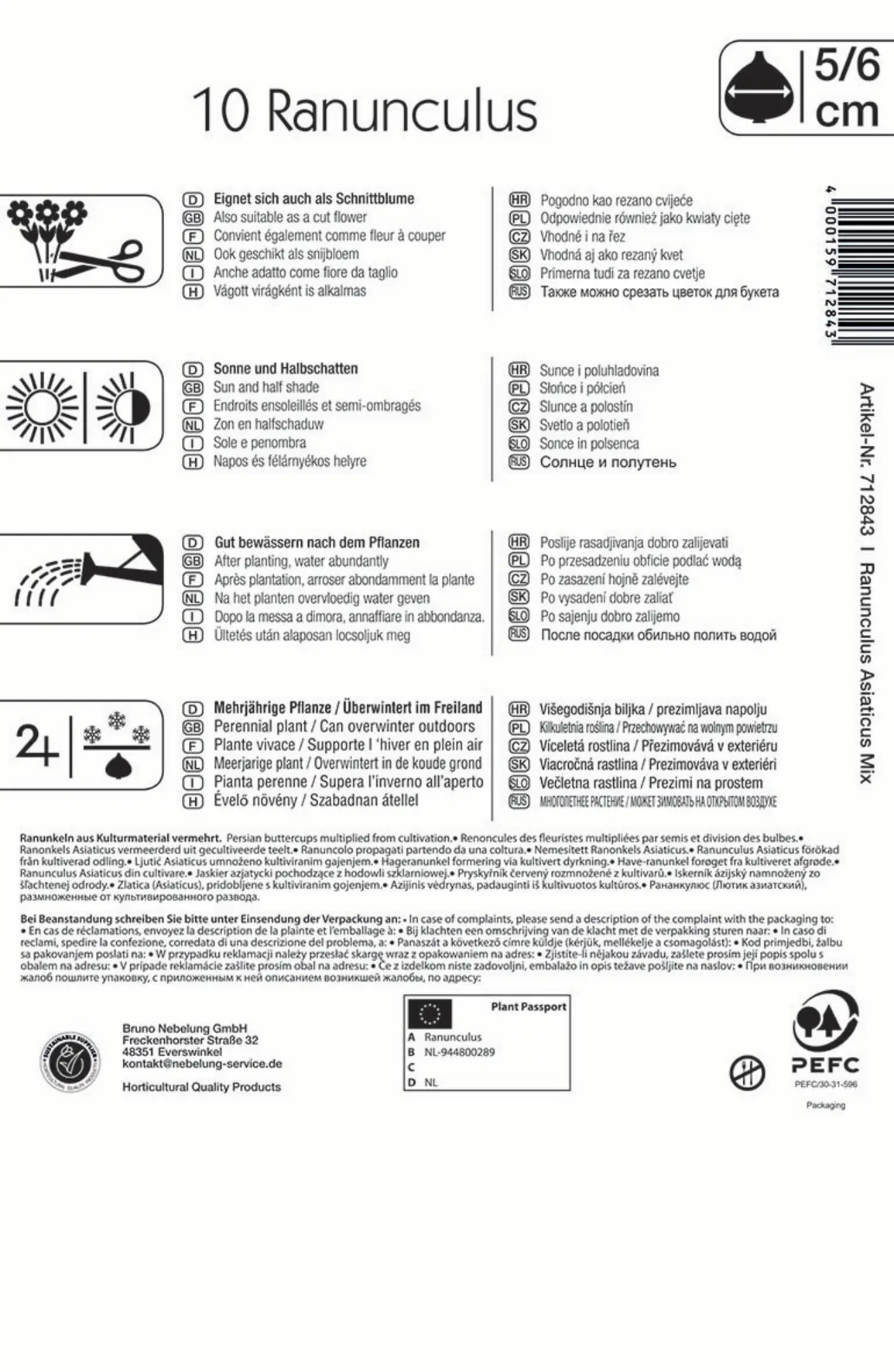 Kiepenkerl Ranunkelmischung