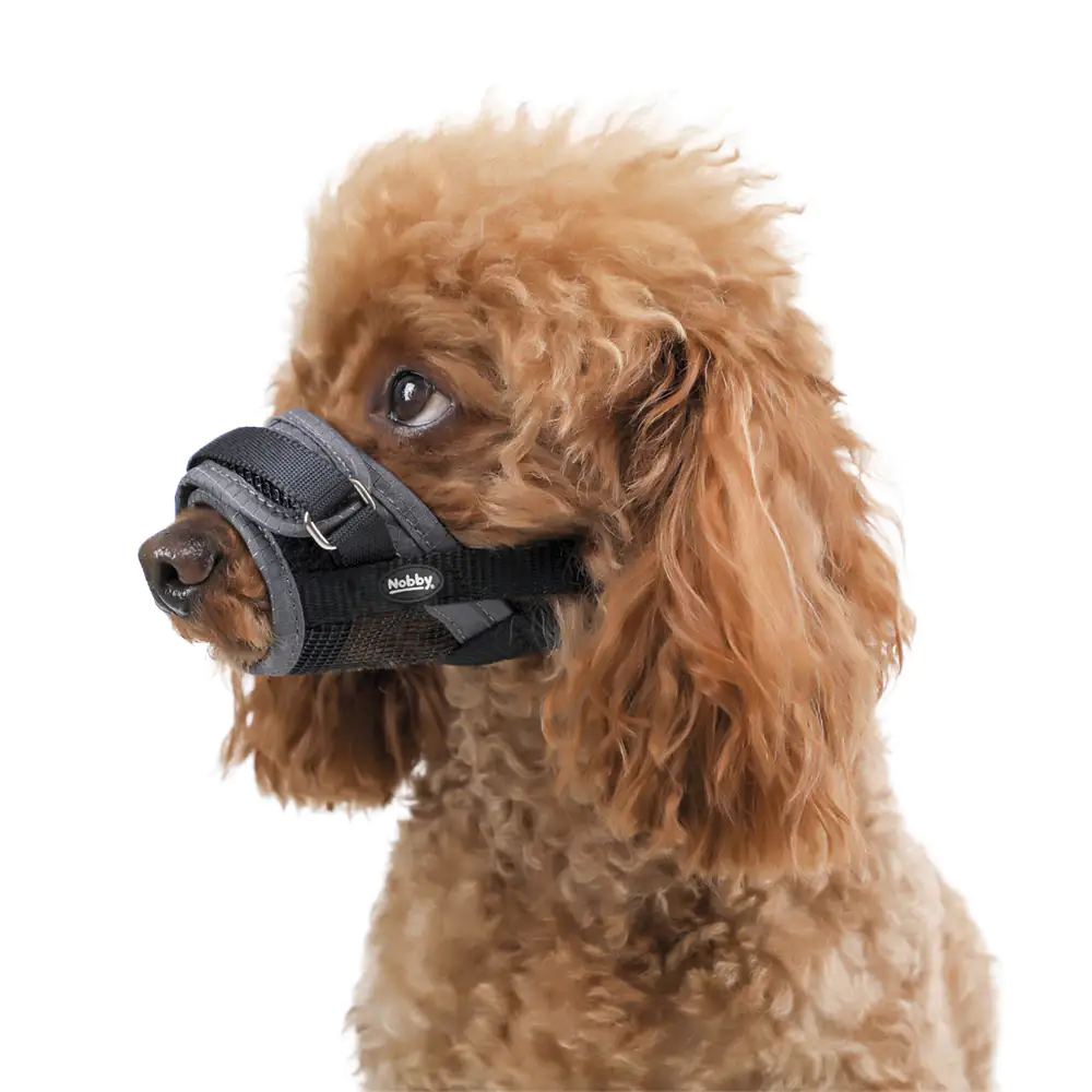 Nobby Maulkorb verstellbar grau