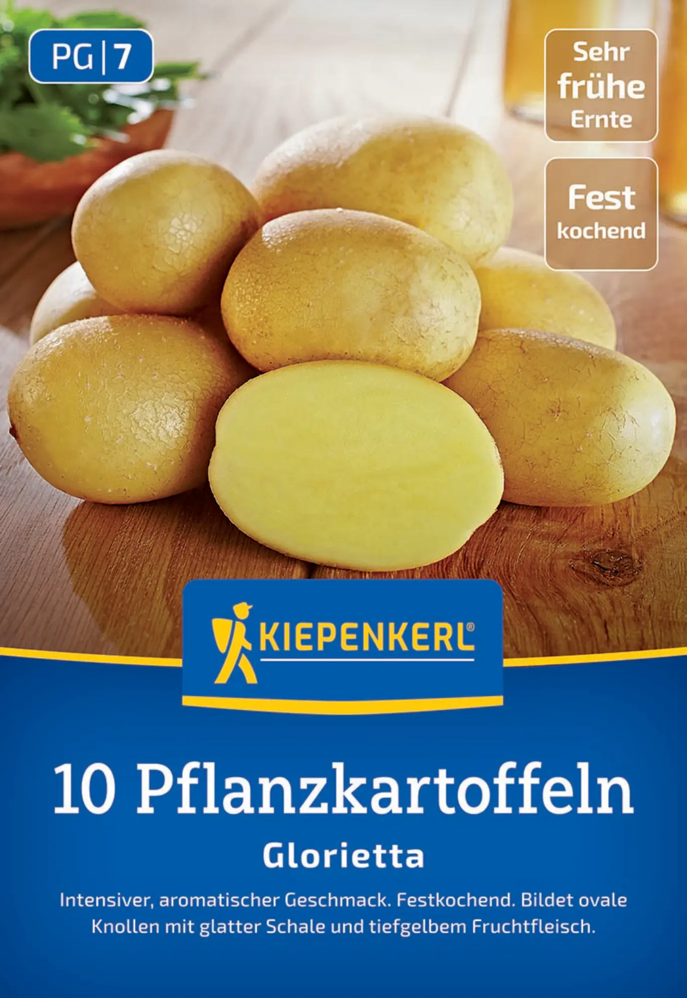 Kiepenkerl Pflanzkartoffel  Glorietta 10 Stück