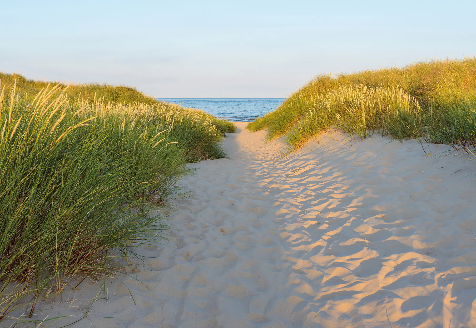Komar Fototapete Sandy Path 368 x 254 cm 