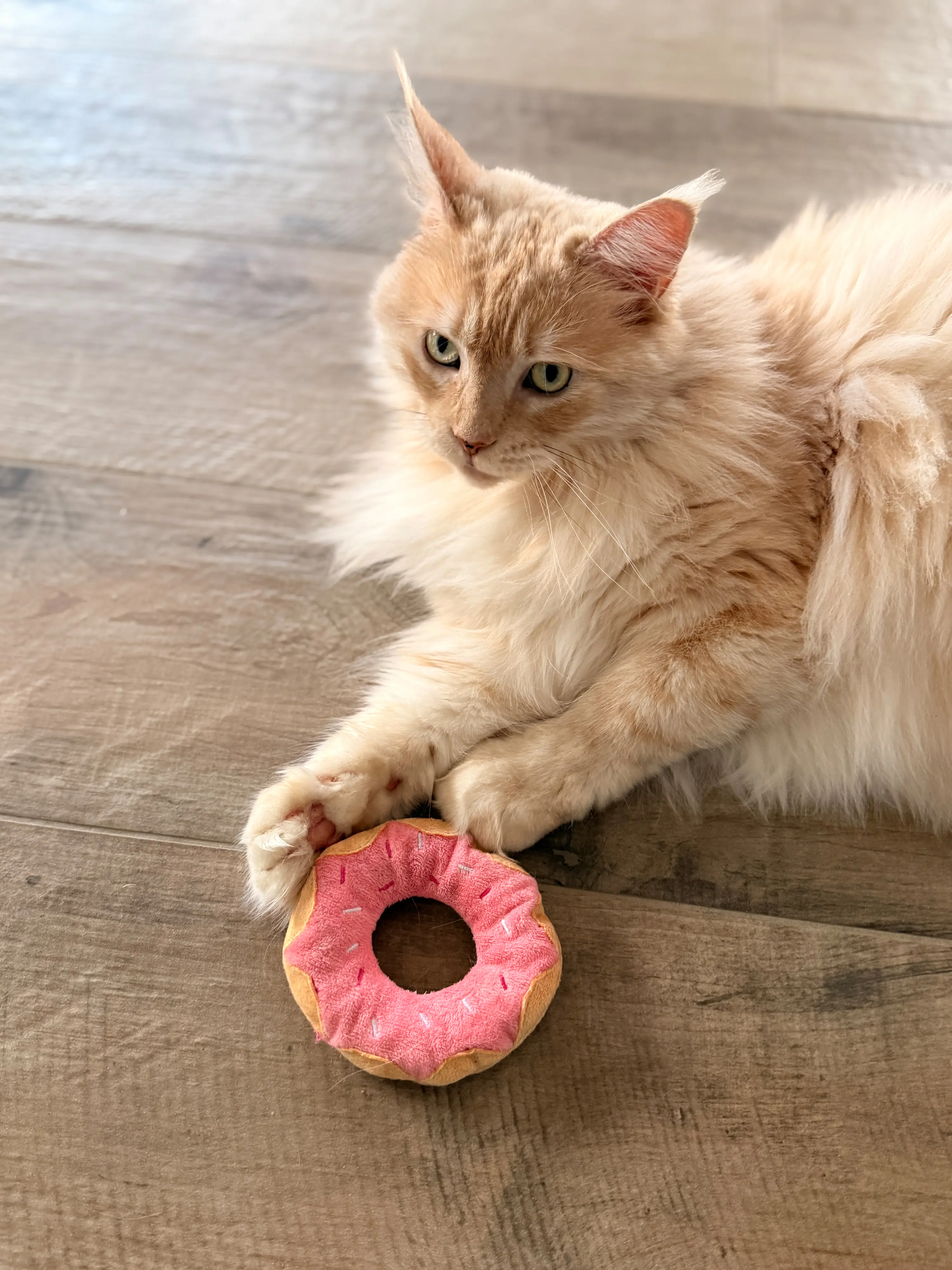 Aumüller Katzenspielzeug Donut Himbeere Ø 11 x 3,5 cm rosa/hellbraun 