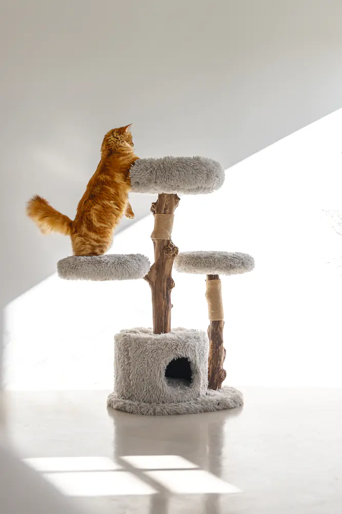 Designed by Lotte Kratzbaum Ziza H 100 cm 