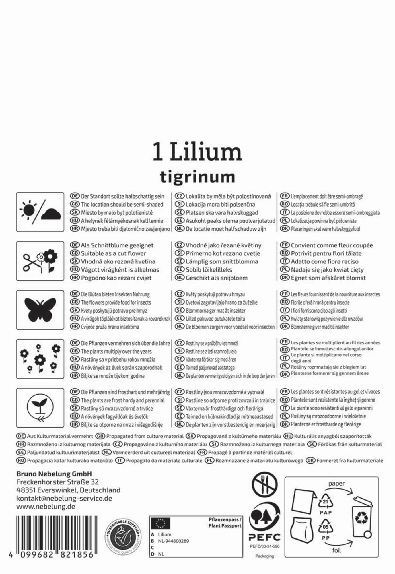 Kiepenkerl Frühjahrsblumenzwiebel Tigerlilie Lilium tigrinum 1 Stück