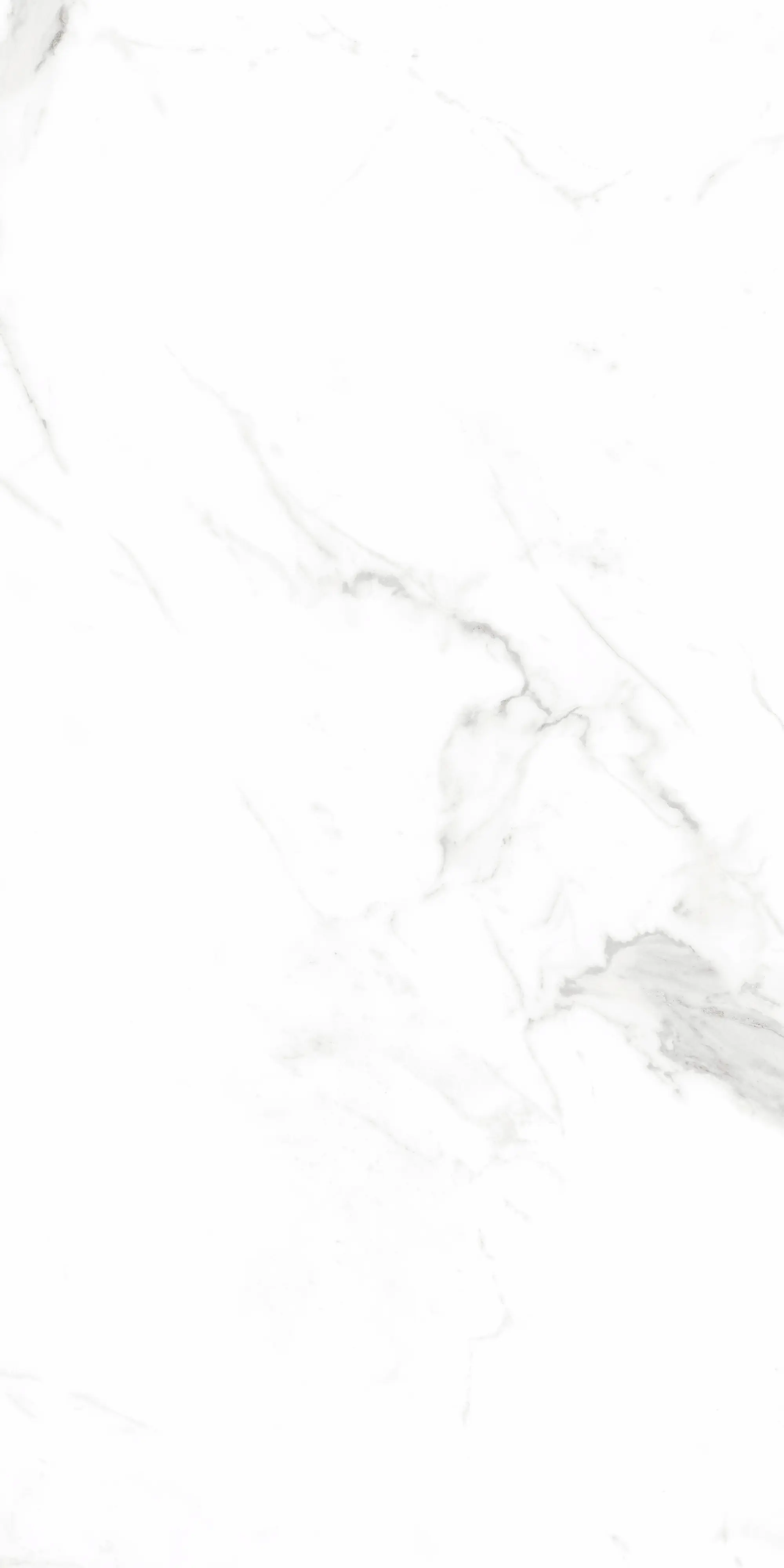 Bodenfliese Feinsteinzeug Alcora 60 x 120 cm weiß/grau