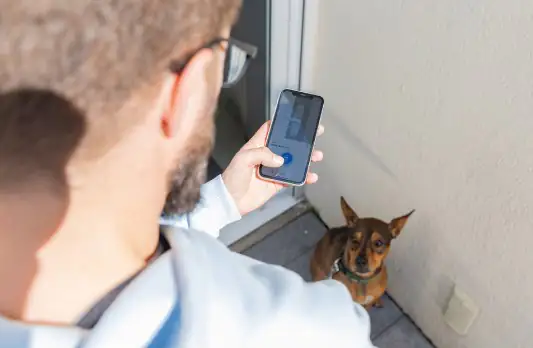 Abus Fensterantrieb Wintecto One FCA4100 Smart silber